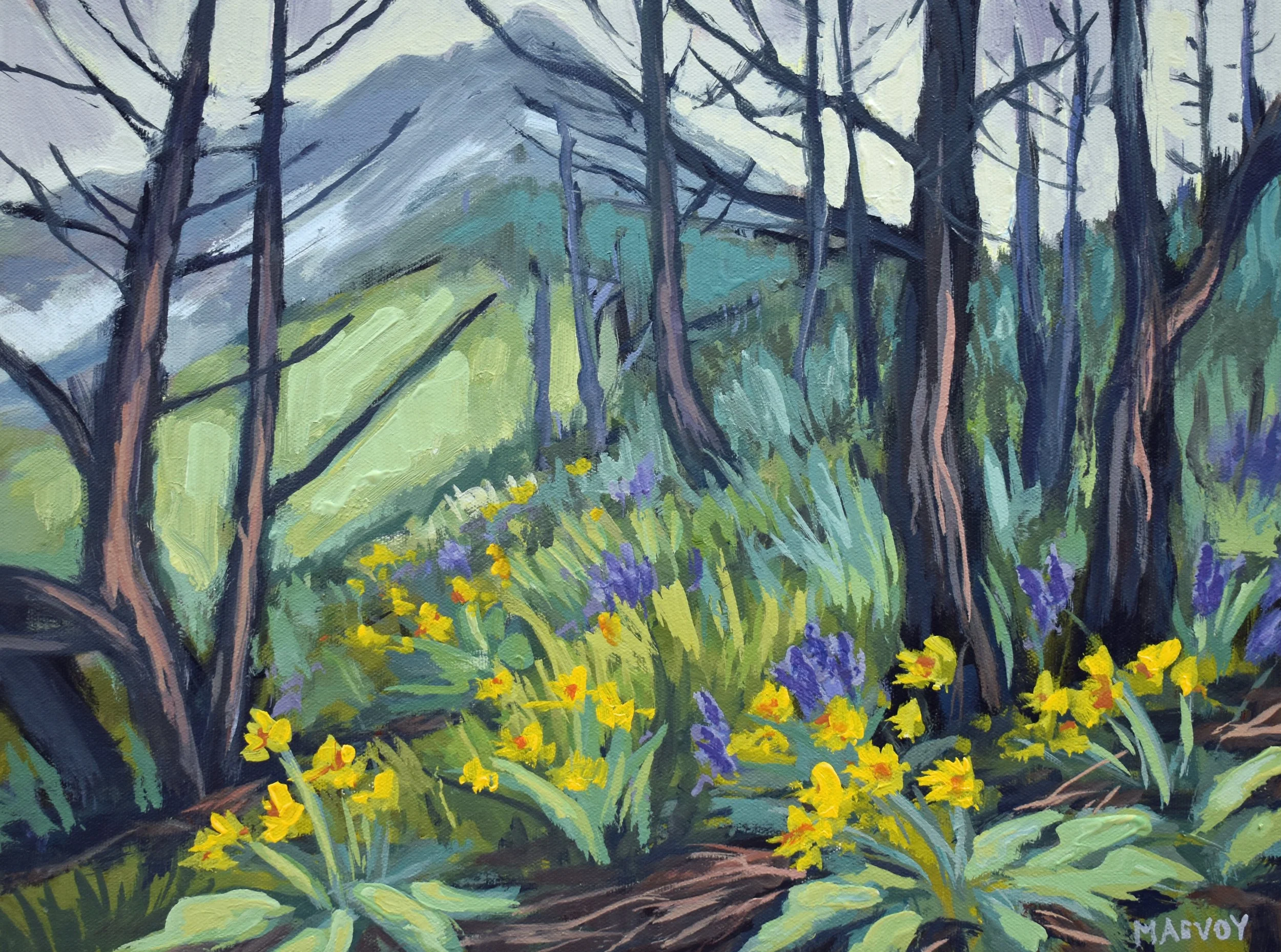 Waterton Wildflowers