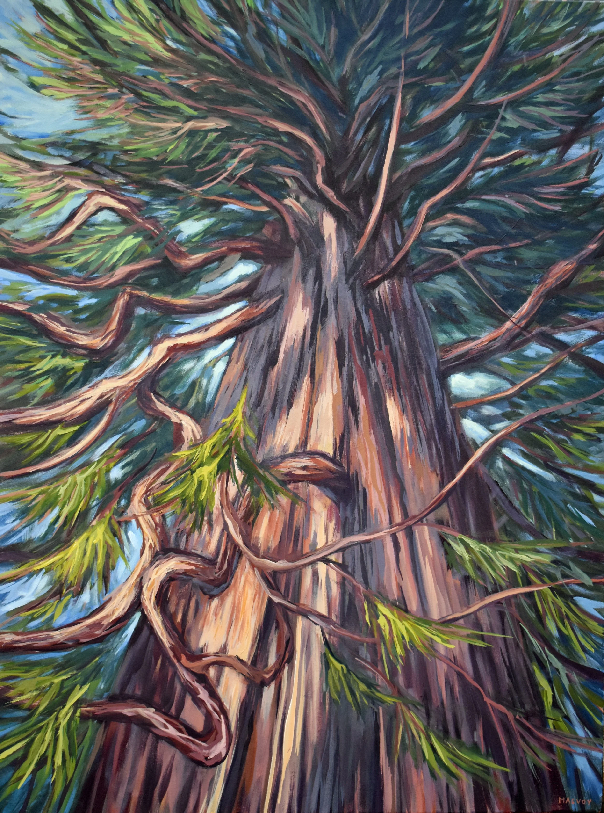 2025, Interwoven, 36x48, $2800.jpg
