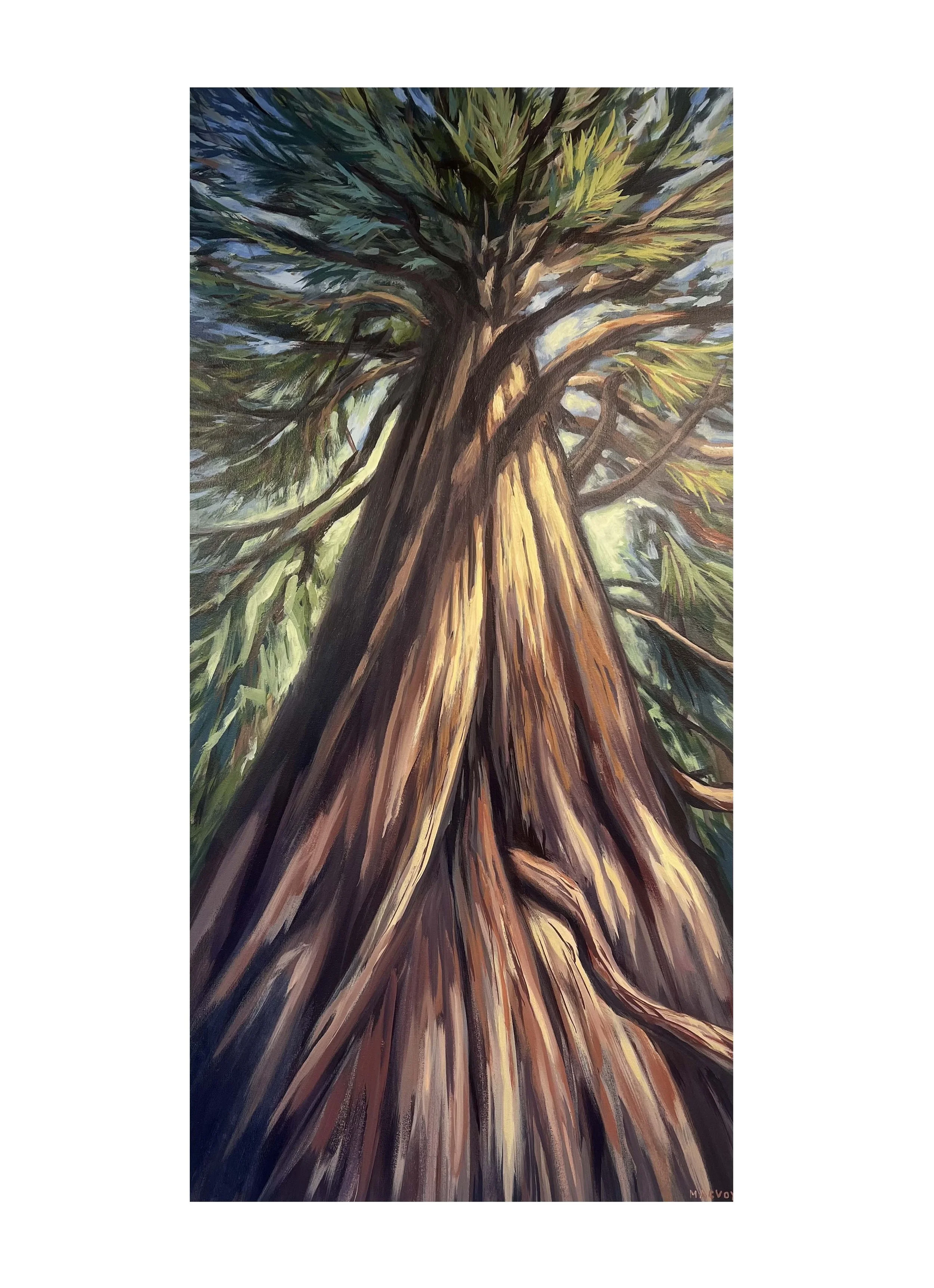 2025 light streaking through.jpeg