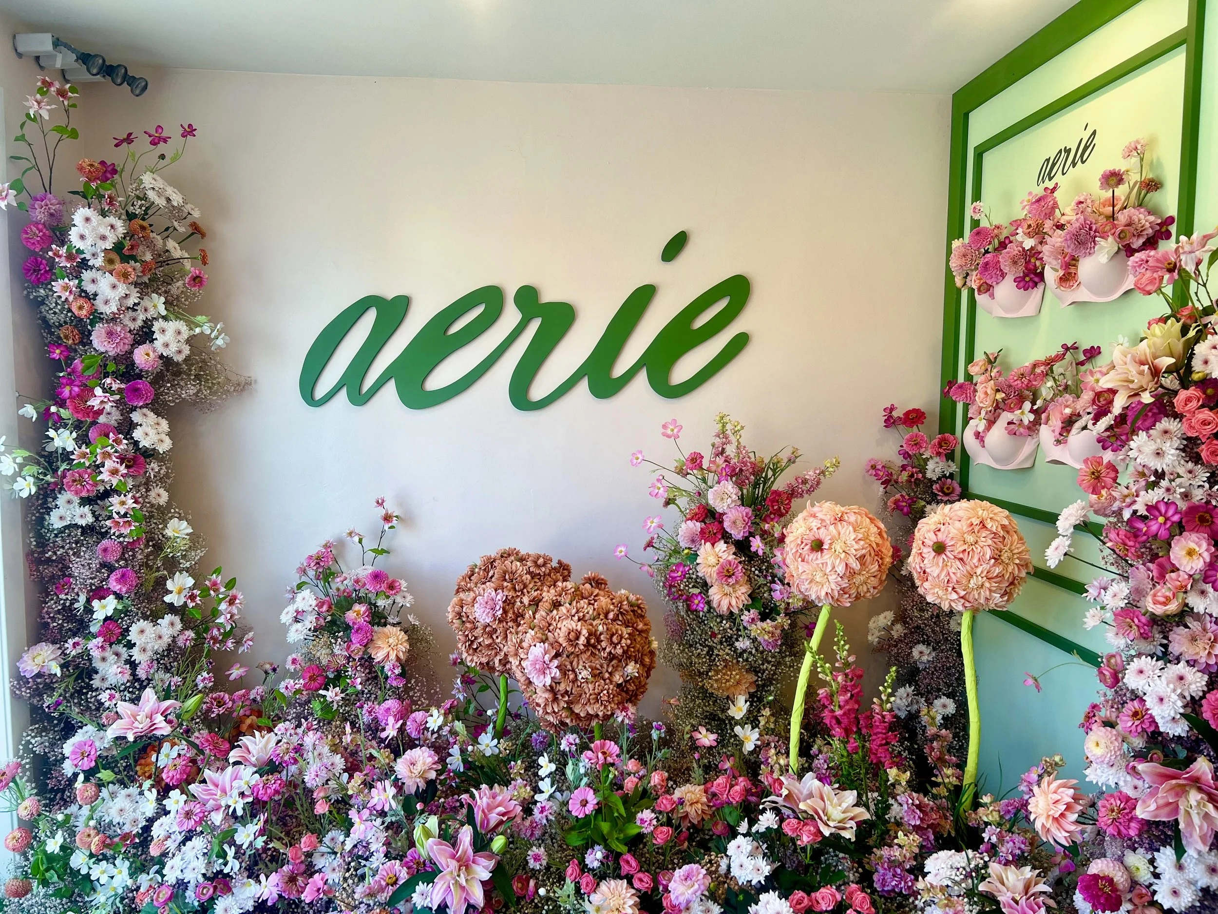 aerie 1.jpg