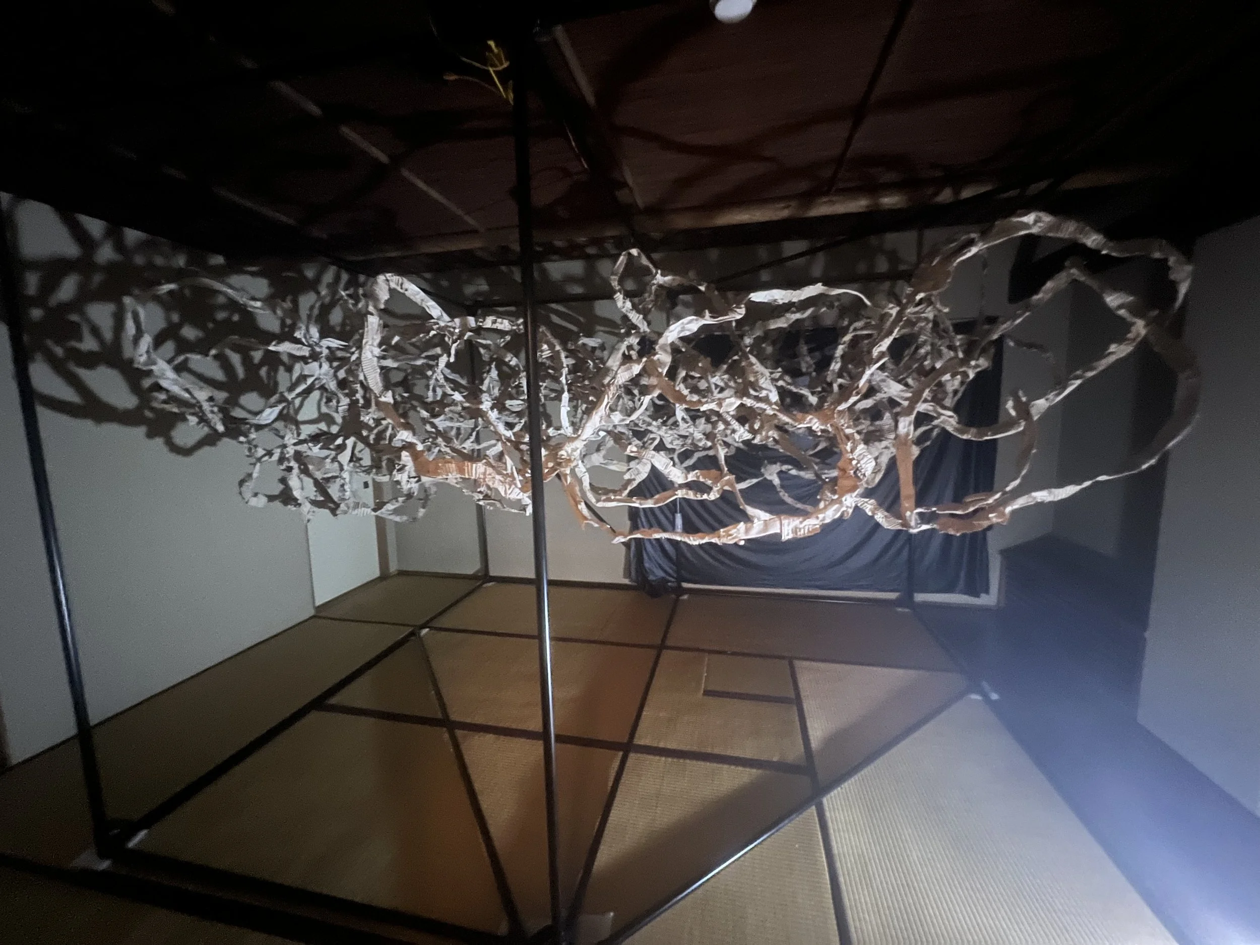 Embodiment and emergence: ALIFE 2023 - Day 3
