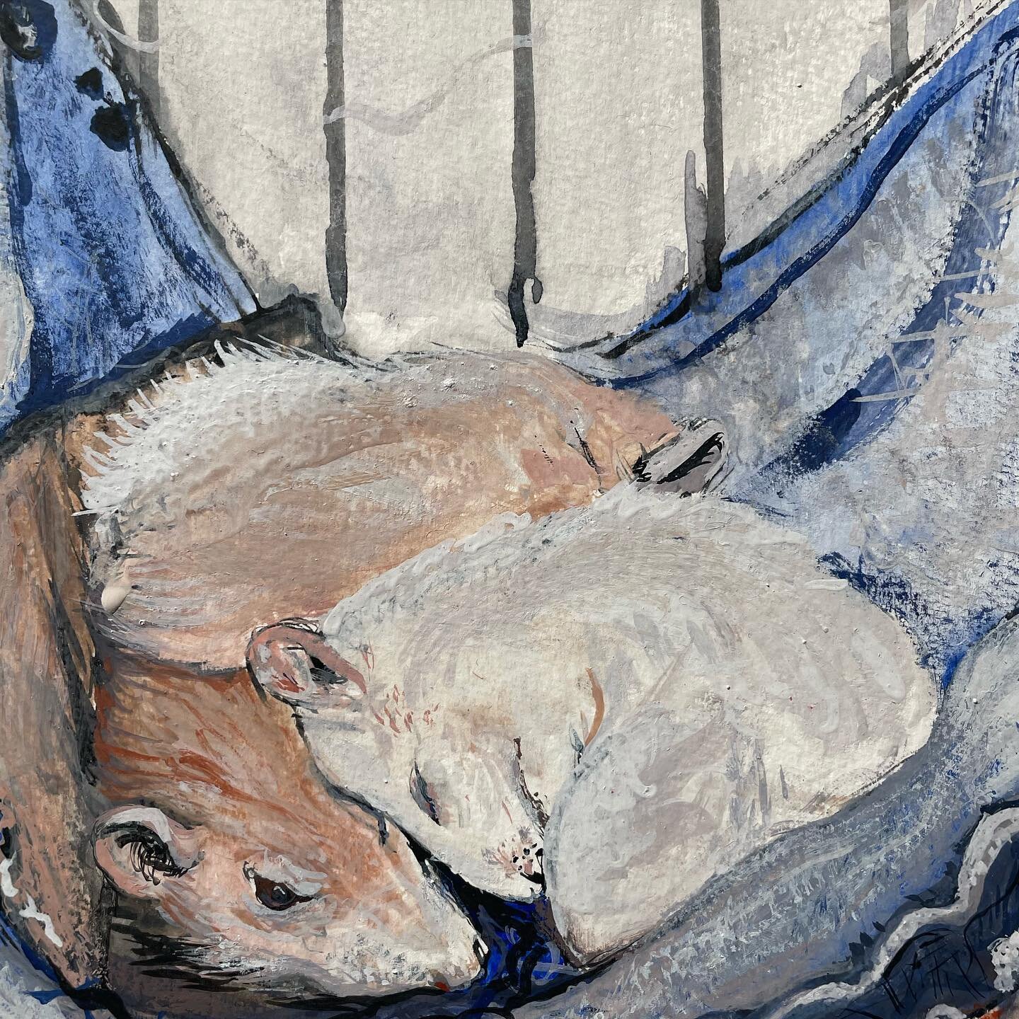 Recent painting from the studio #Watercolour #painting #fancyrats #ratsofinstagram #ratstagram #ratslove #ratsinhammocks #fancyratsofinstagram #fancyrat #ratart