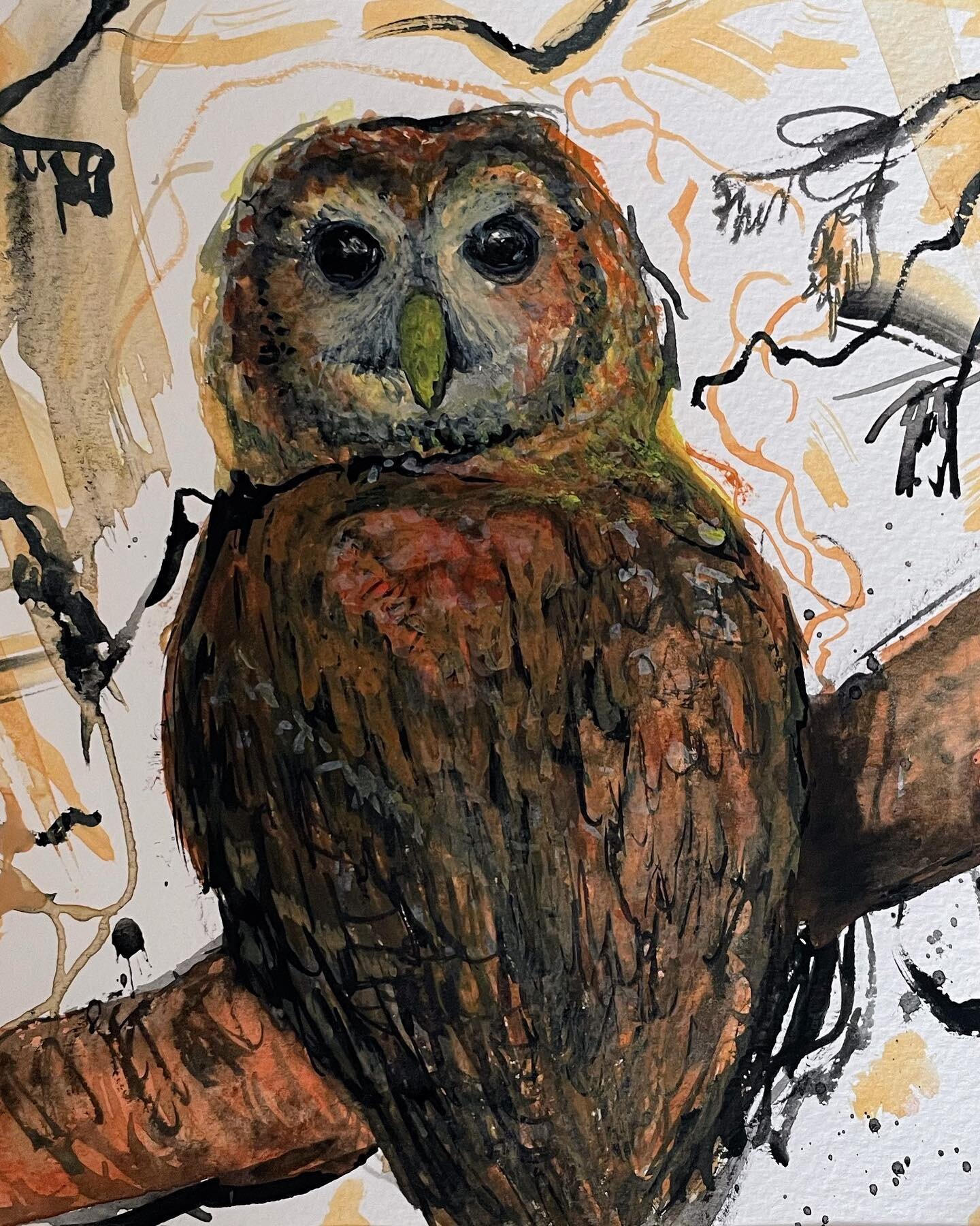 Back to the studio! Prints available soon.. @coburghouse coburghouse #artprint #owls #artist #artrepreneurartist #halloween #painting #edinburghartist