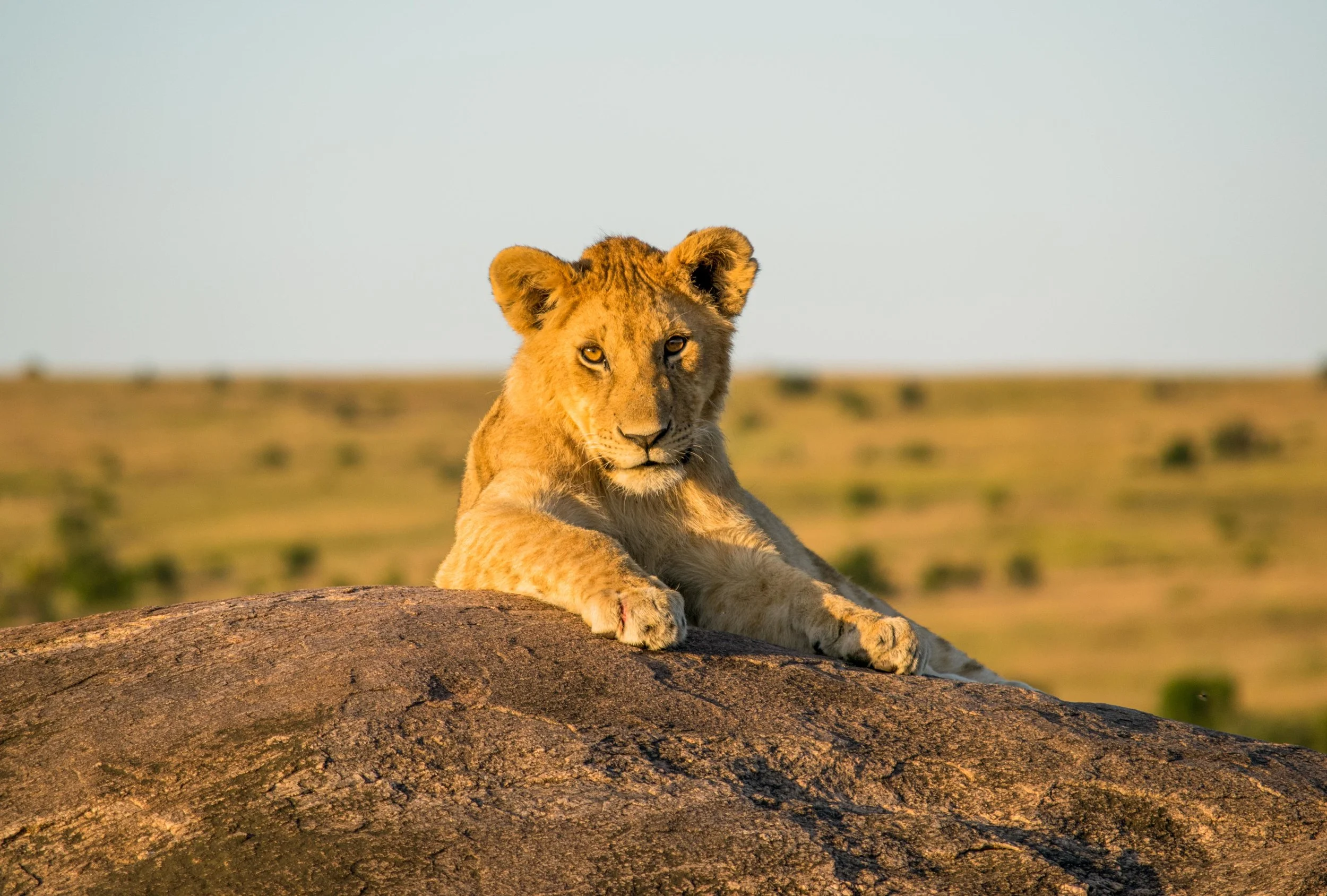 Website Image Content-3.jpg