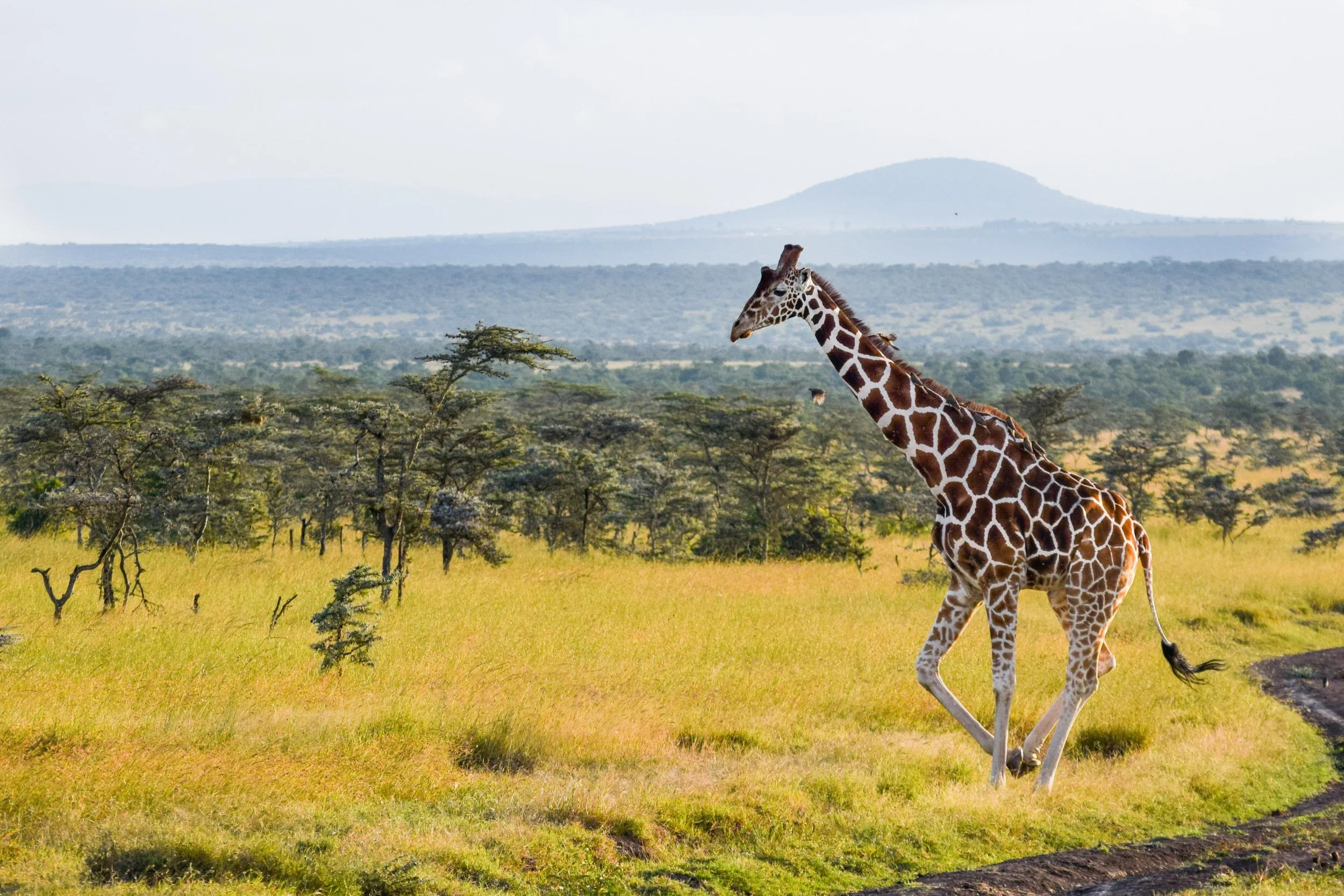 Website Image Content-2.jpg