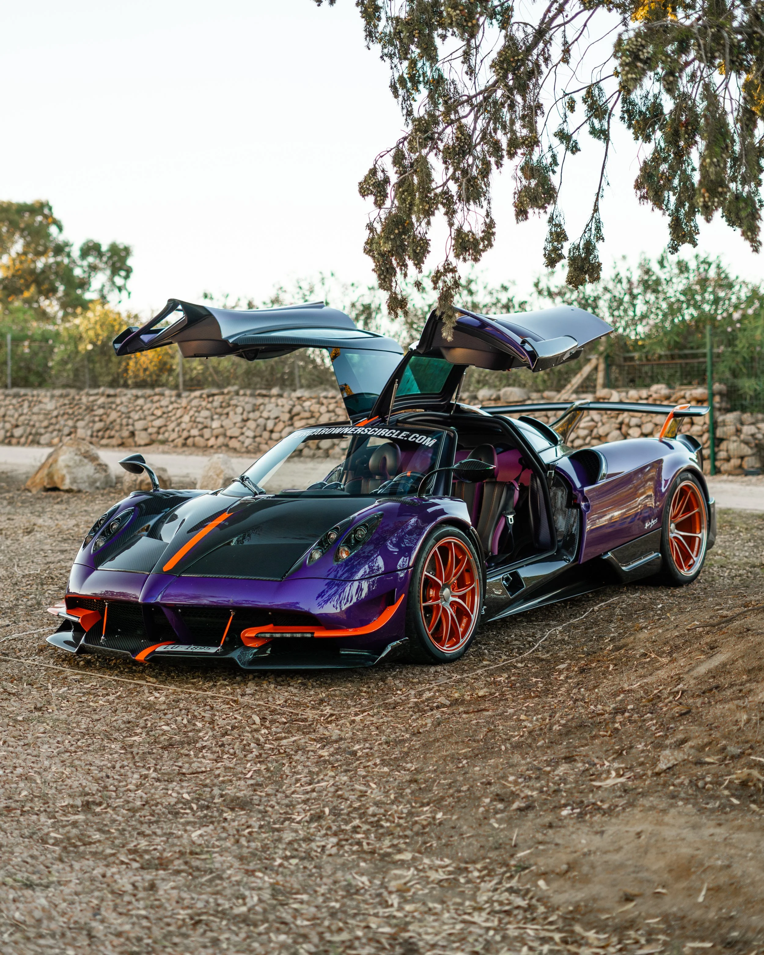 Santa Laura Huayra BC Tempesta CA-1.jpg