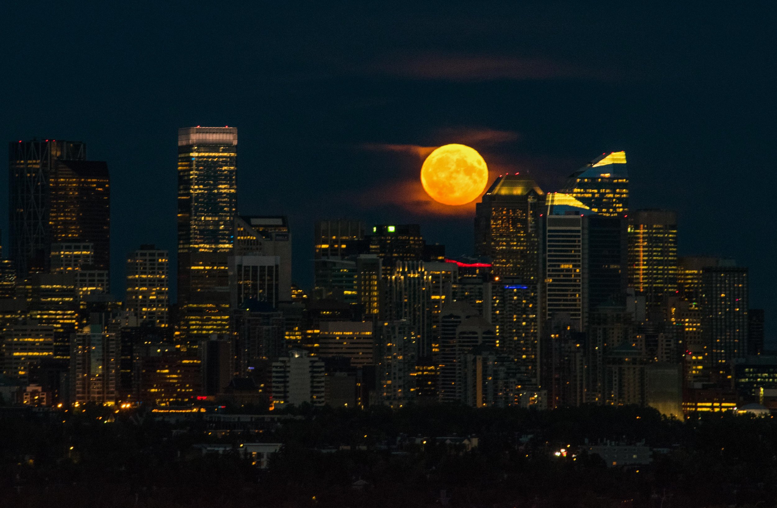 Website Image Content-4.jpg