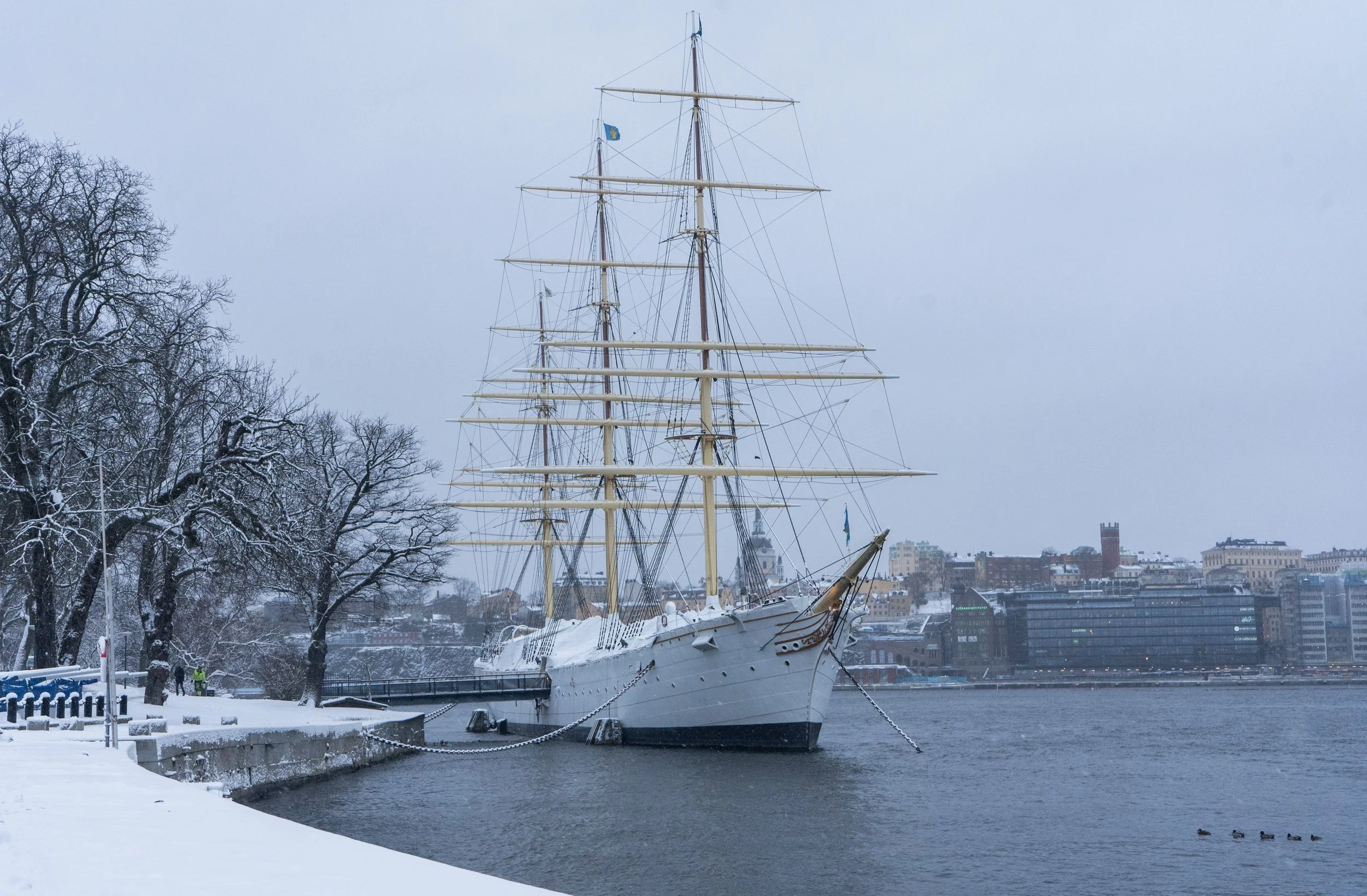 The Streets of Stockholm January 2023-3.jpg