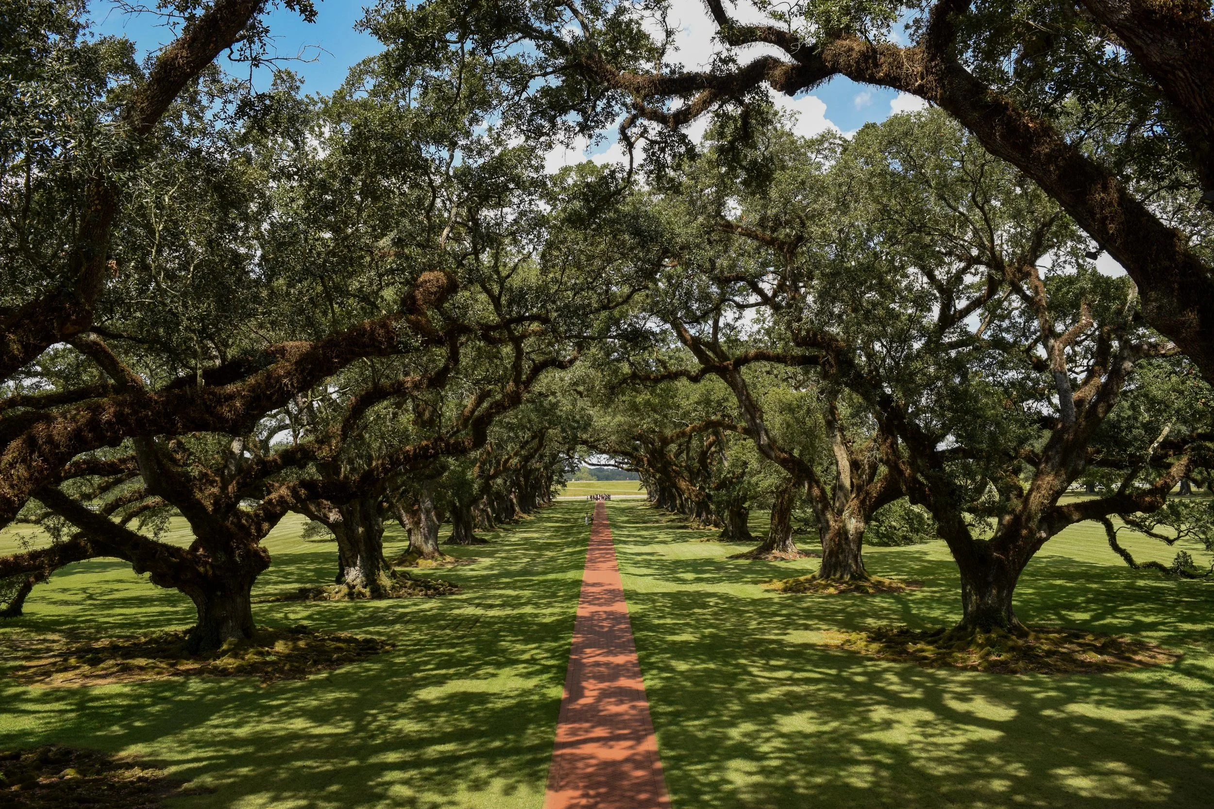 Website Image Content-5.jpg