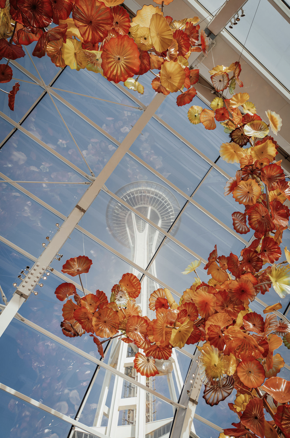 Screenshot 2024-07-17 at 7.21.15 PM.png