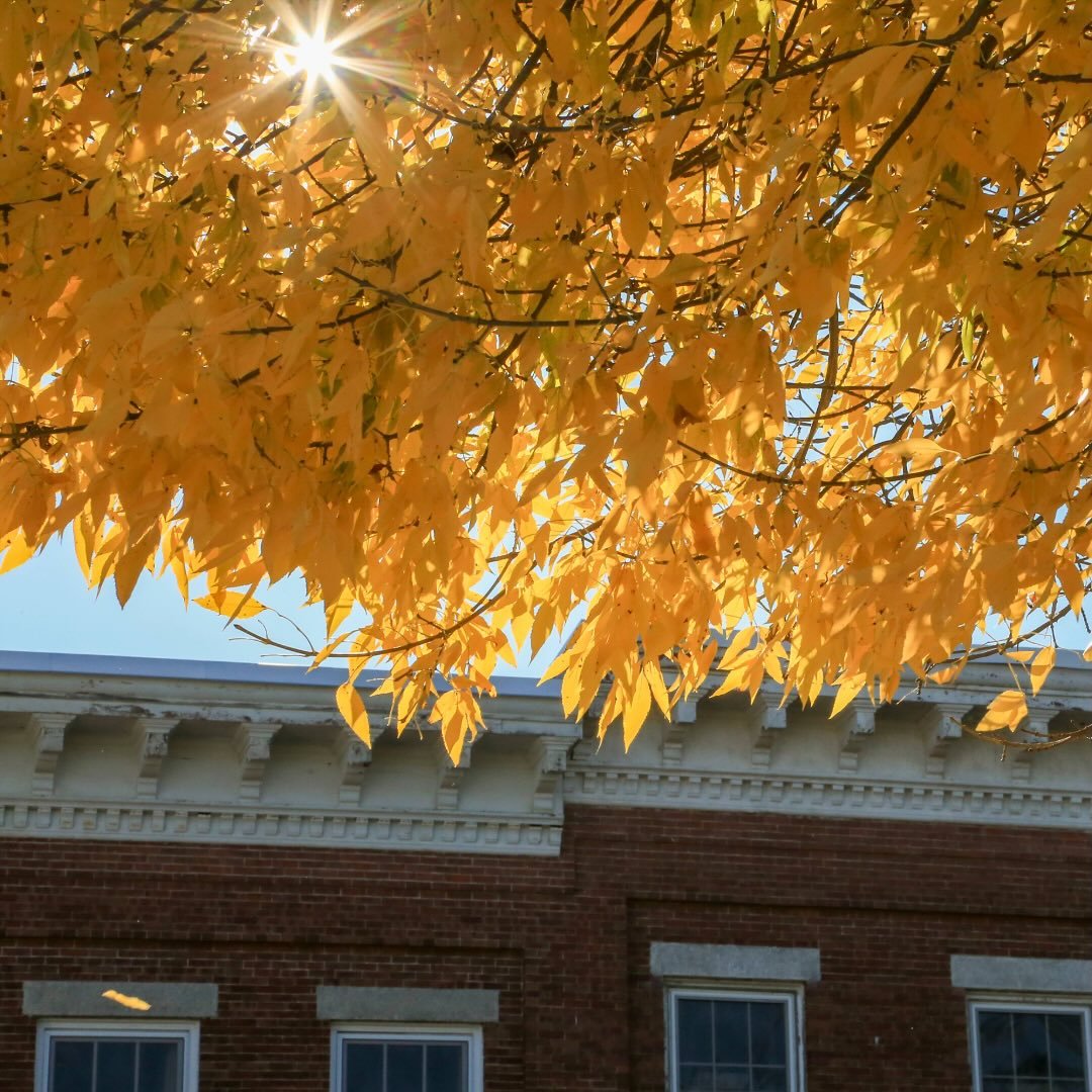 Autumn light in Belfast, Maine. #belfastmaine #waldocounty #waldocountymaine #belfastme #fallinmaine #maineautumn