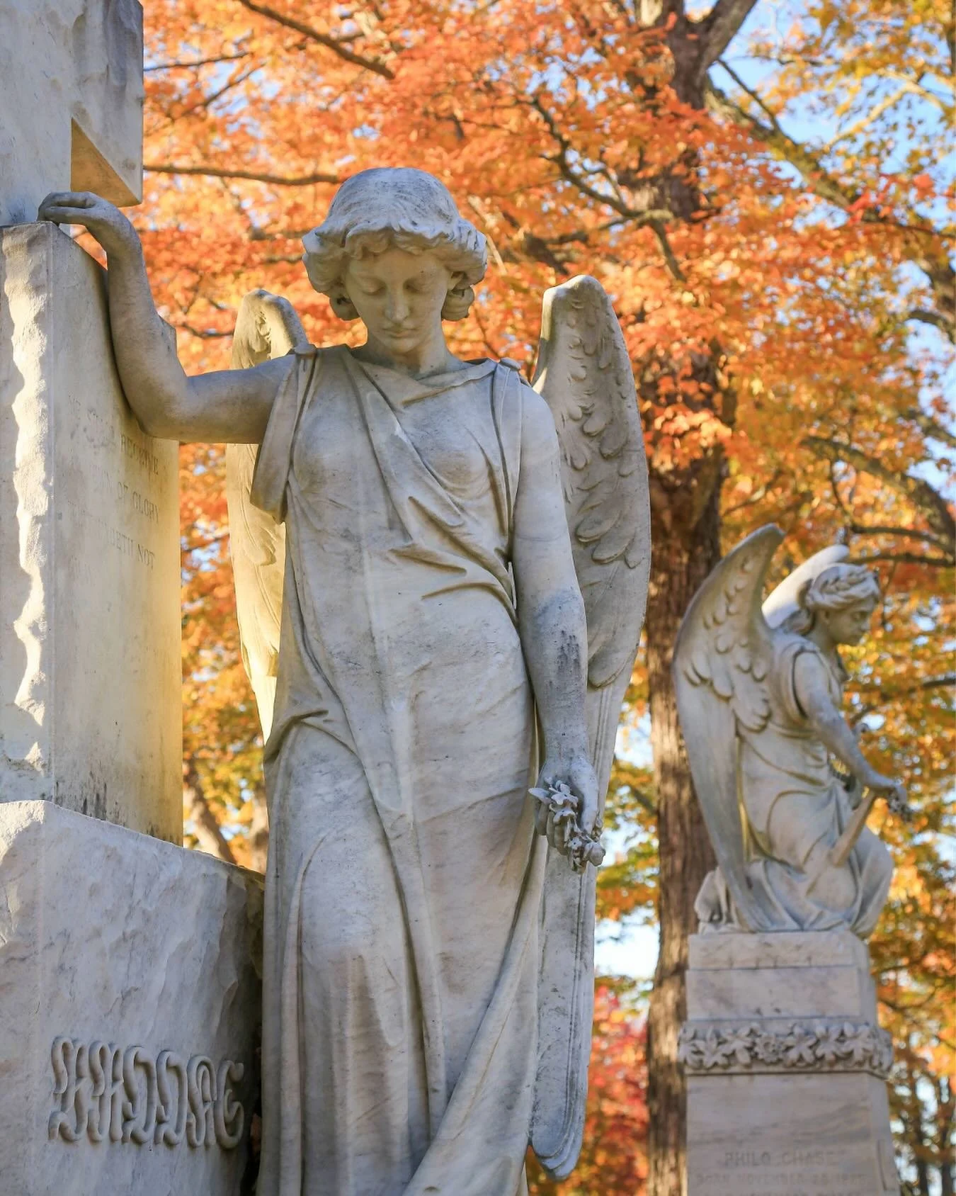 Happy Halloween, Samhain, and Day of the Dead, featuring my favorite angels, who I finally stopped to photograph the other day after admiring them for decades. #belfastmaine #waldocountymaine #mainefoliage