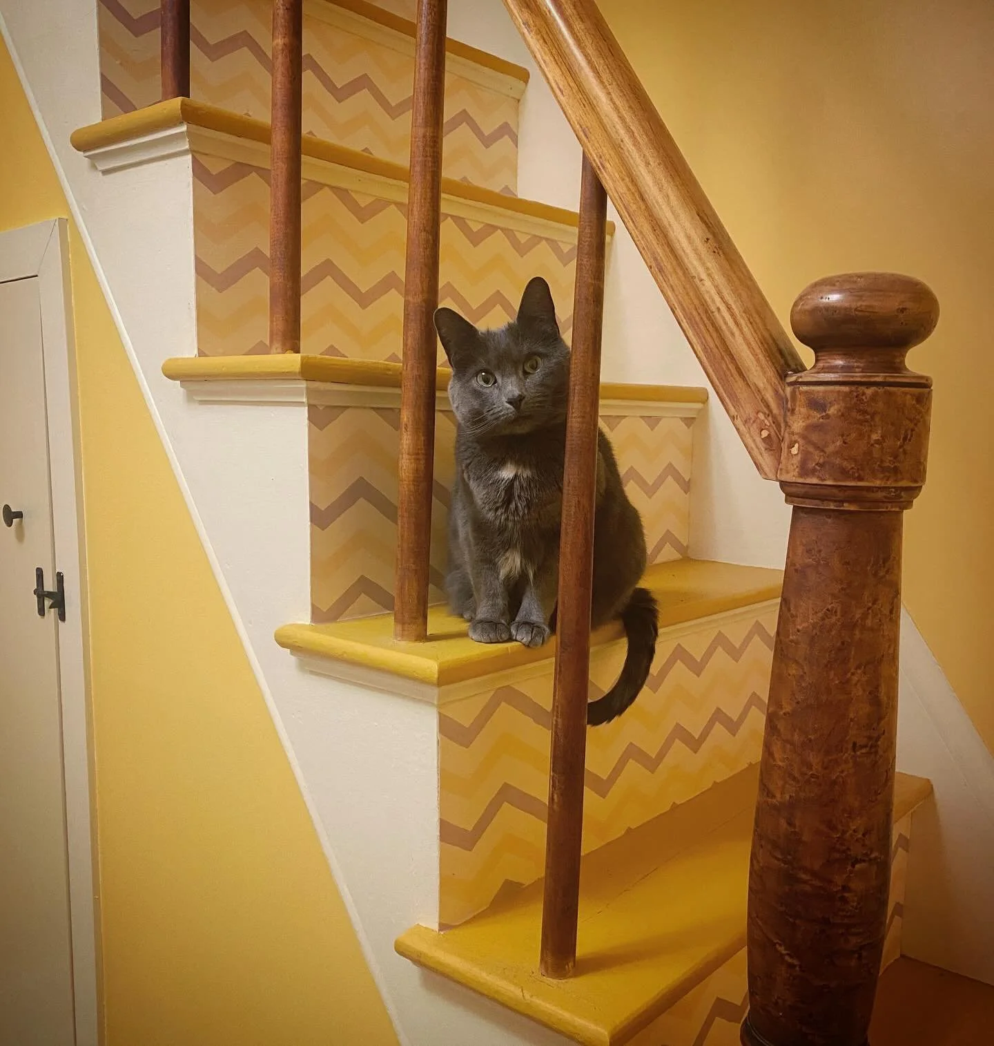 Wallpaper design! I&rsquo;m so delighted to have finally gotten around to putting up this wallpaper I designed  and had printed by @spoonflower several years ago. It doesn&rsquo;t make the world less scary, but it makes me feel a little better when I