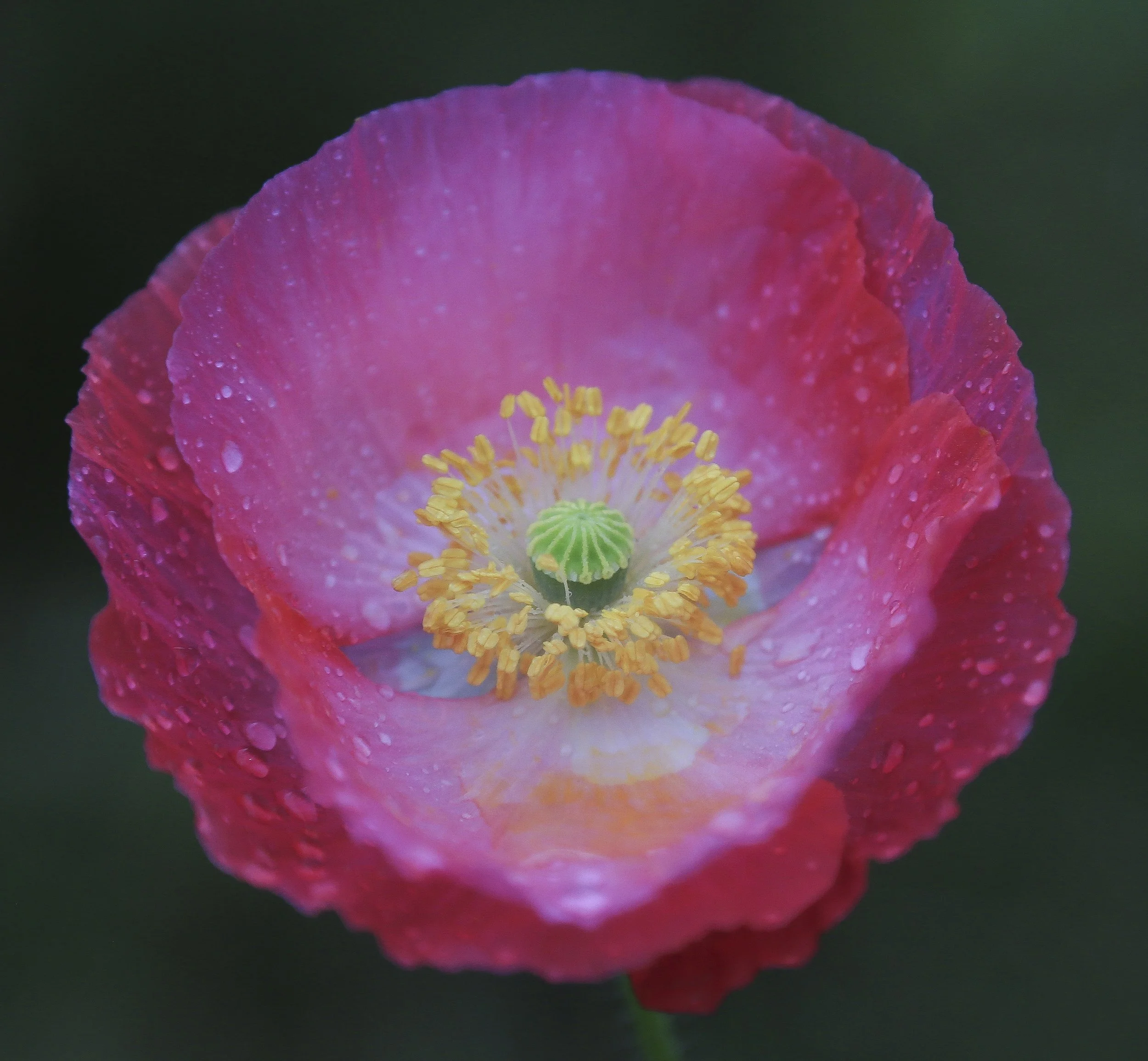 4U5A0063-edited.jpg
