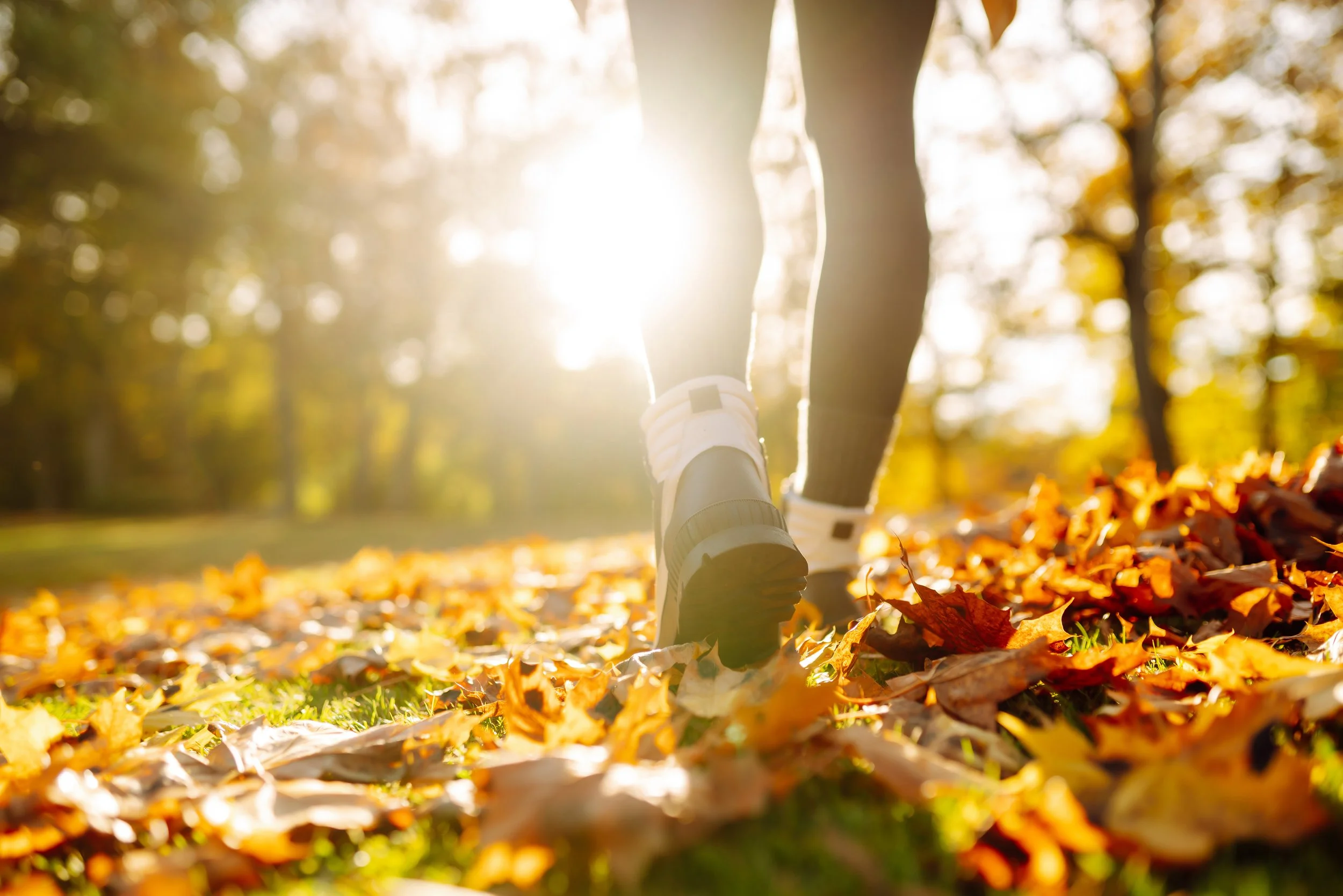 walking-fall-woods.jpg