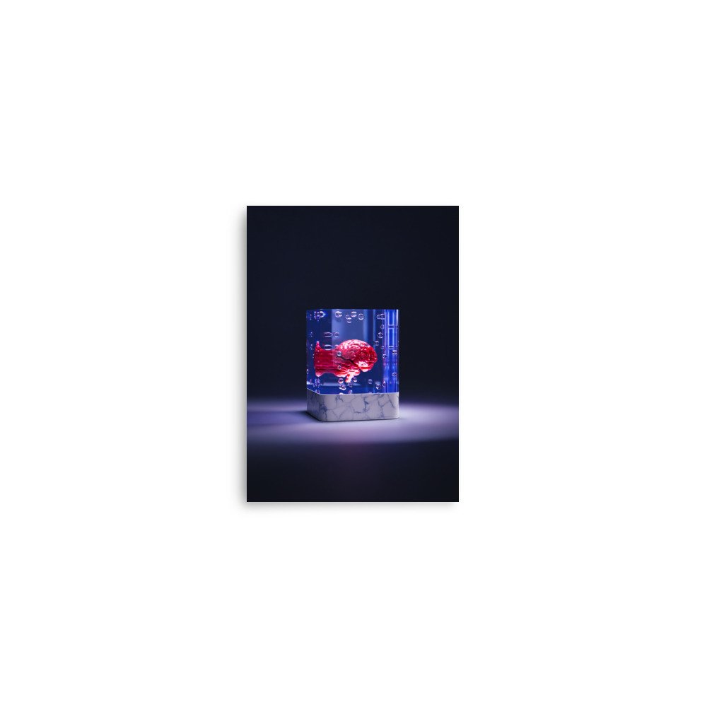 enhanced-matte-paper-poster-(in)-5x7-front-642b531703c8e.jpg