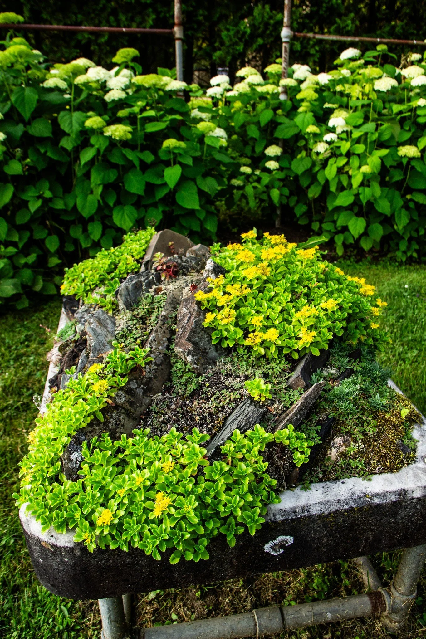 nboss-Bennington-Sculpture-Public-Art-Vermont Outdoor Art-113.jpg