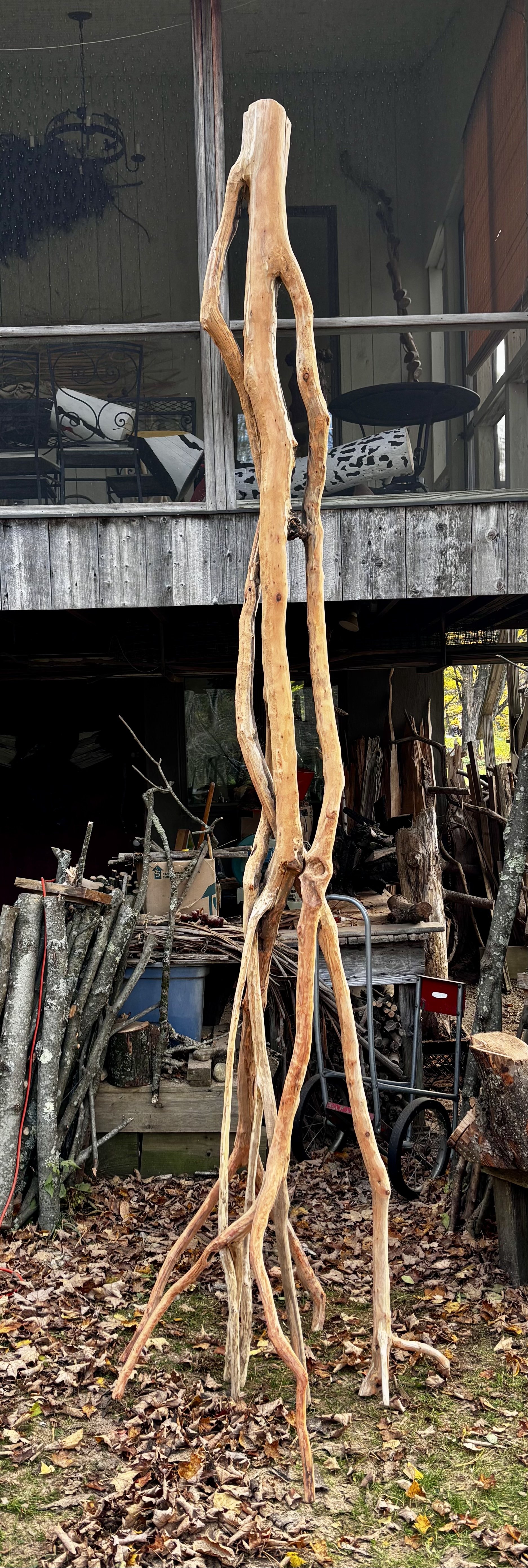 Tall One ( work in progress).jpeg
