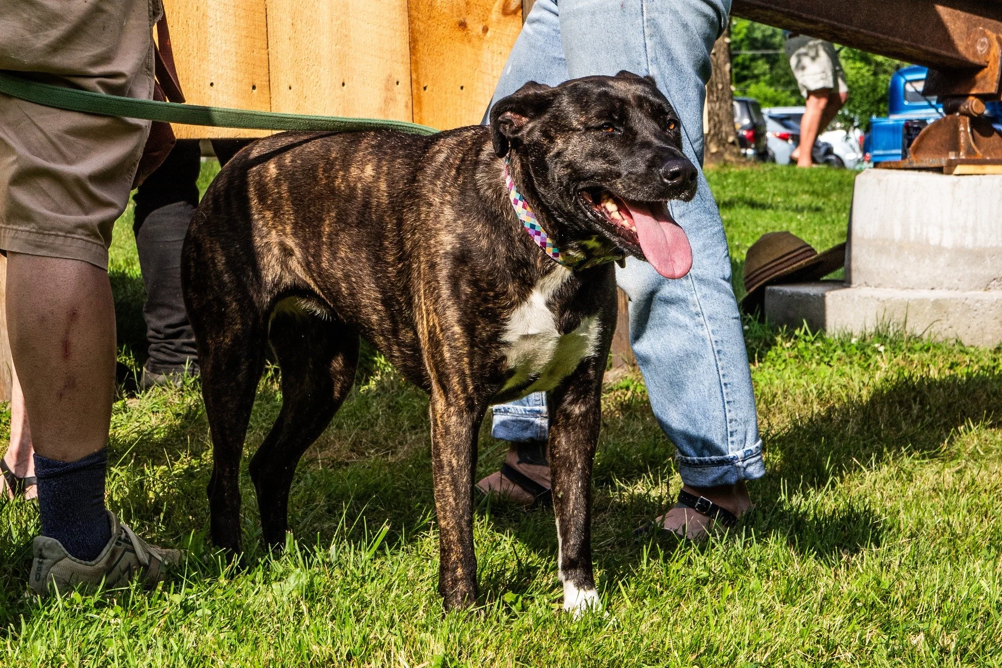 nboss-Bennington-Sculpture-Public-Art-Vermont Outdoor Art-19.jpg