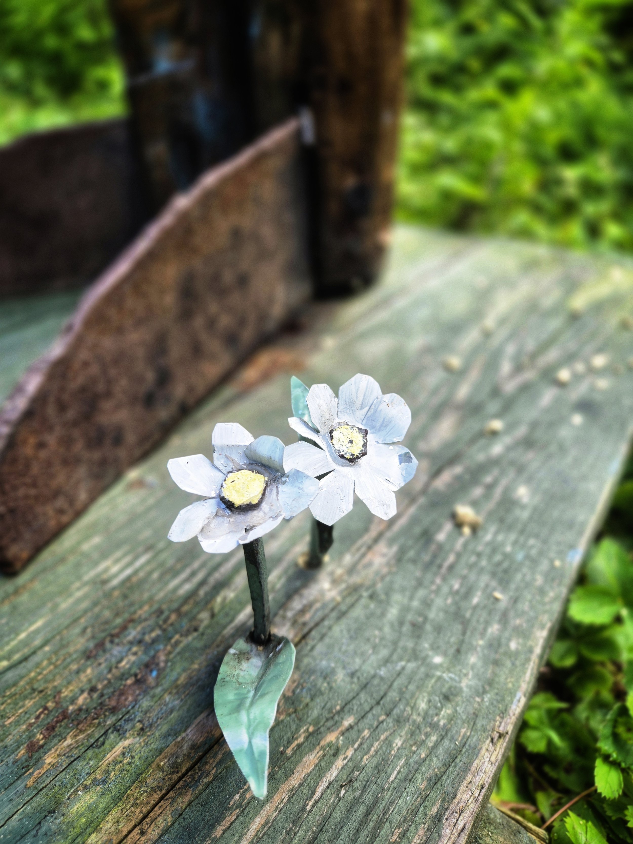 tillyer flower.jpg