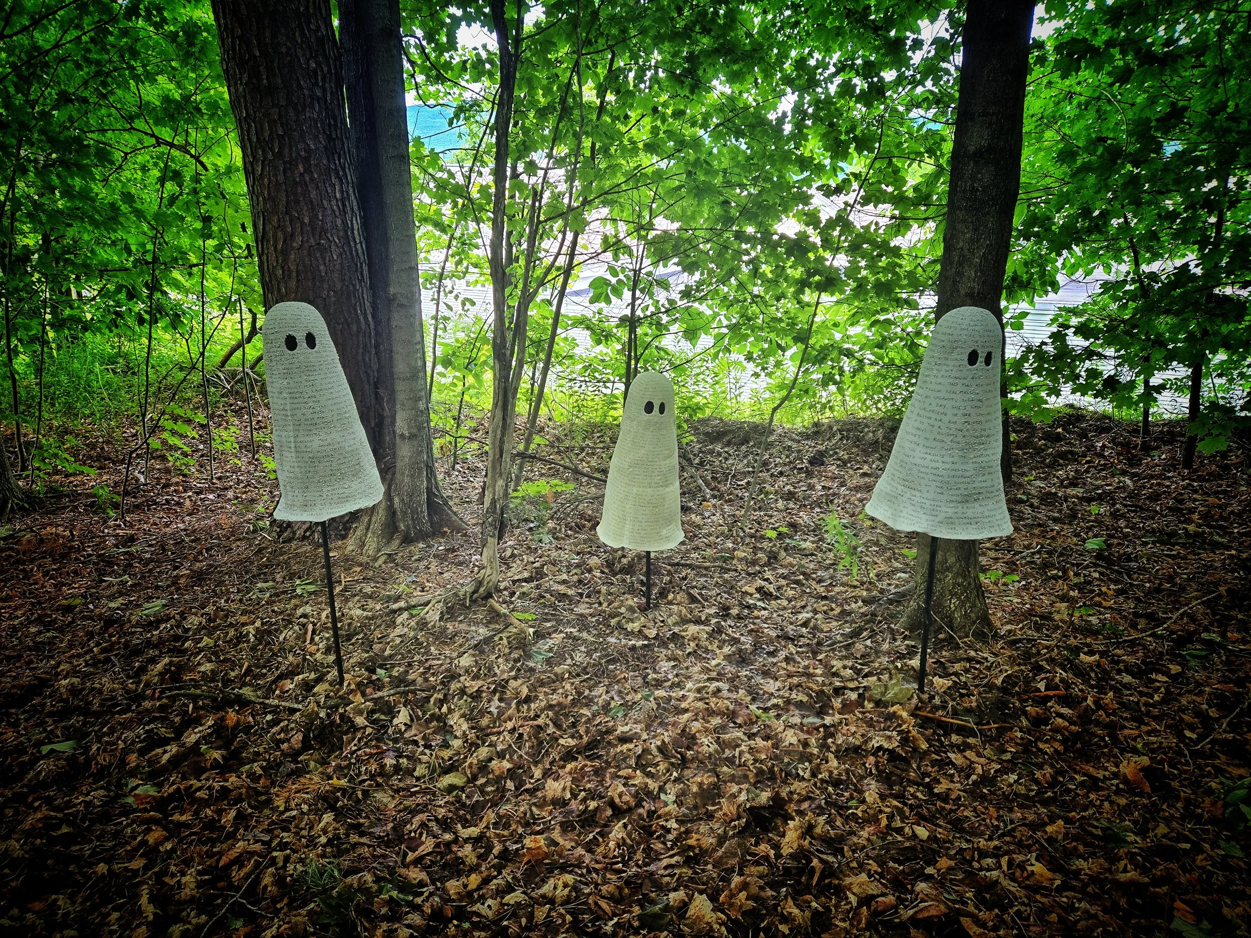 ghosts smith.jpeg
