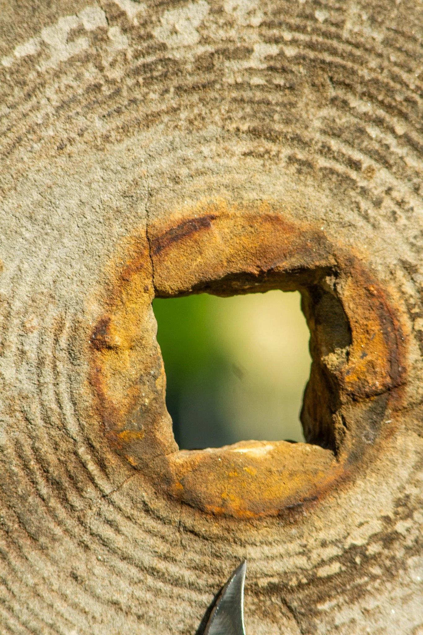 nboss-Bennington-Sculpture-Public-Art-Vermont Outdoor Art-97.jpg