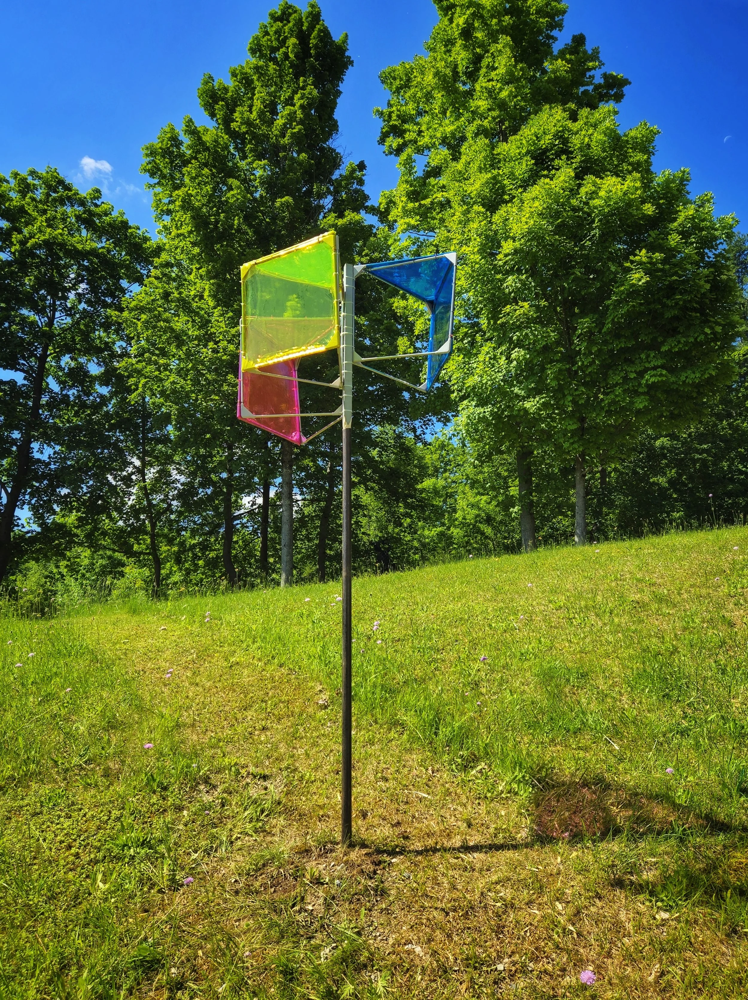 Cecilia André, Tricolor Tree Far.jpg