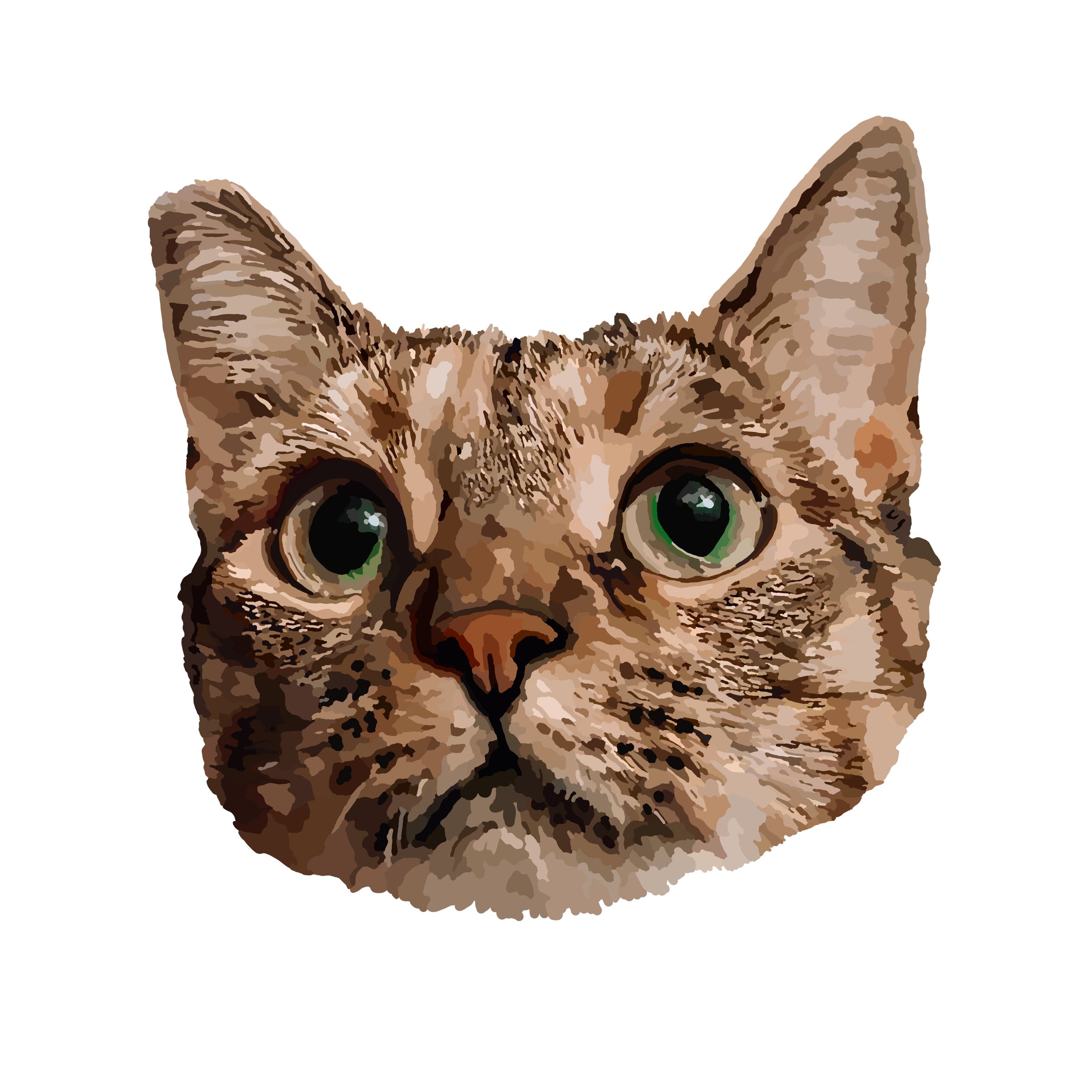 willow-Nicole copy2 .jpg