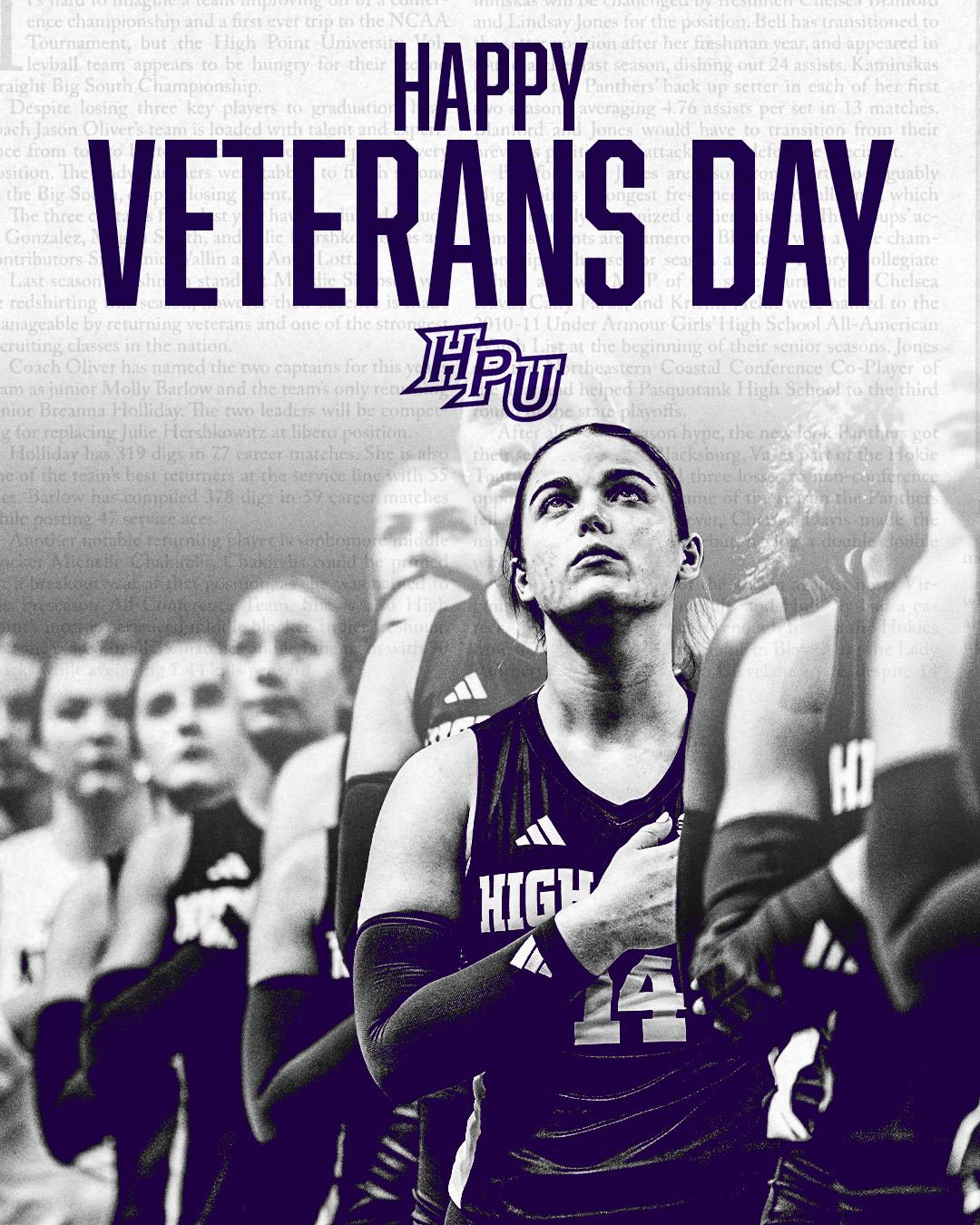 veterans day.png