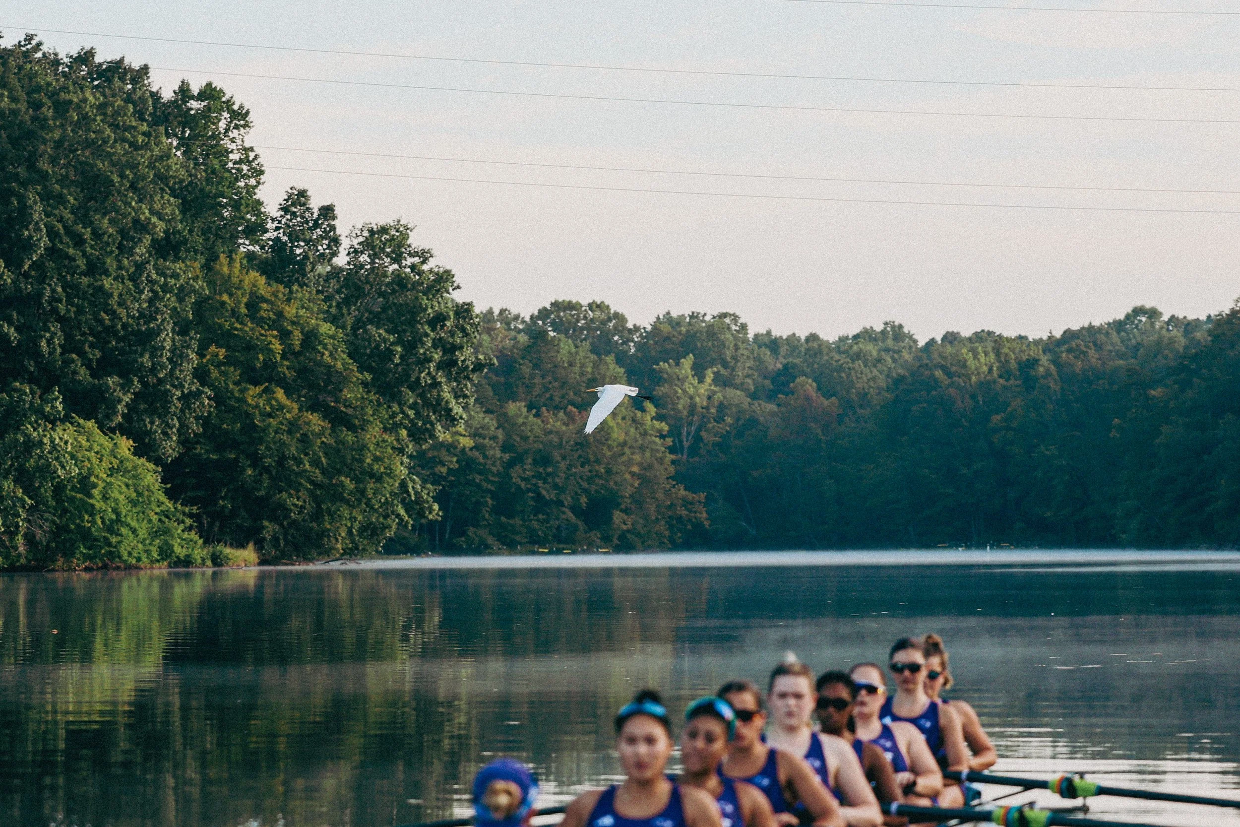 ROW-25.jpg