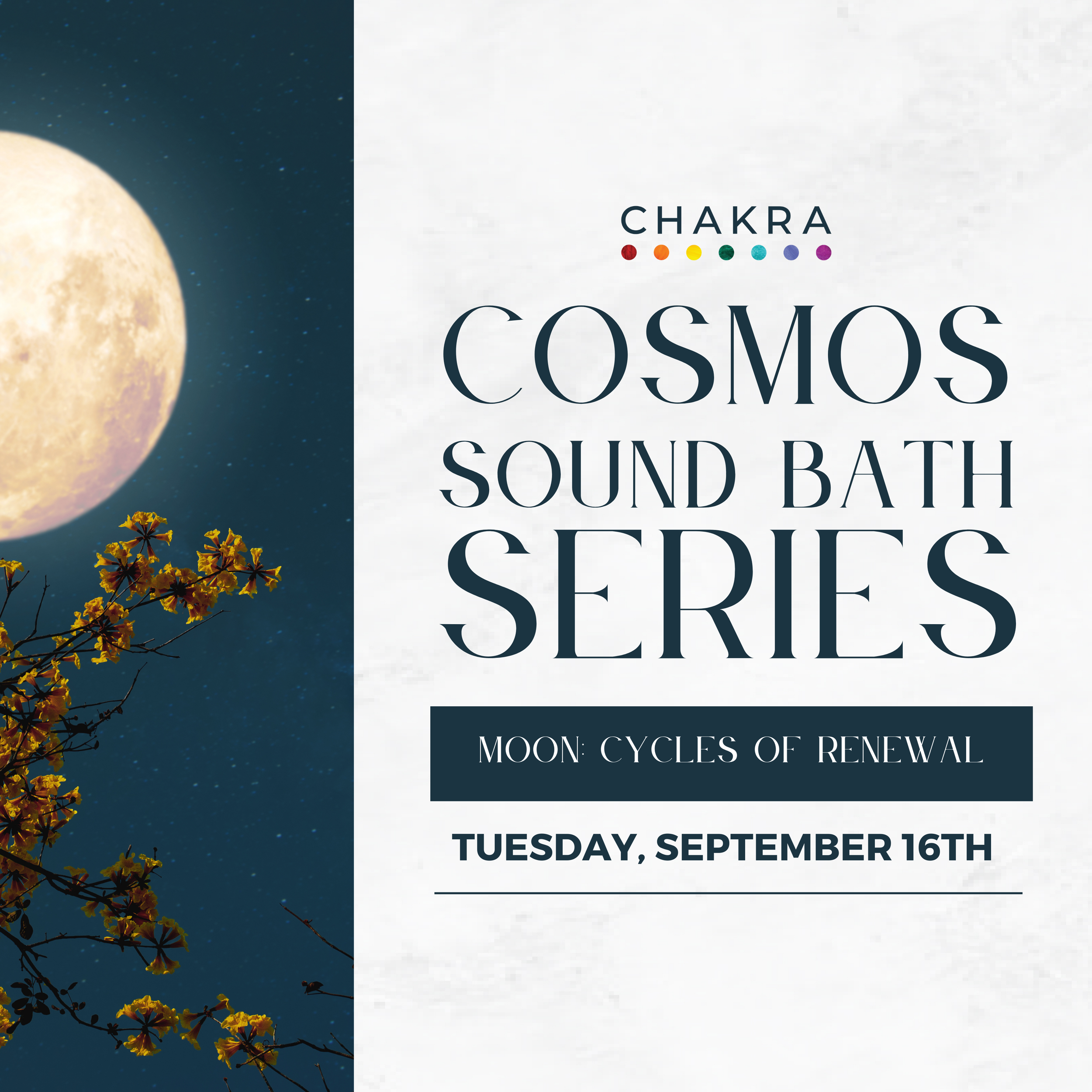 Cosmos Sound Bath Series with Dr. Aria Thomé - Moon: Cycles of Renewal