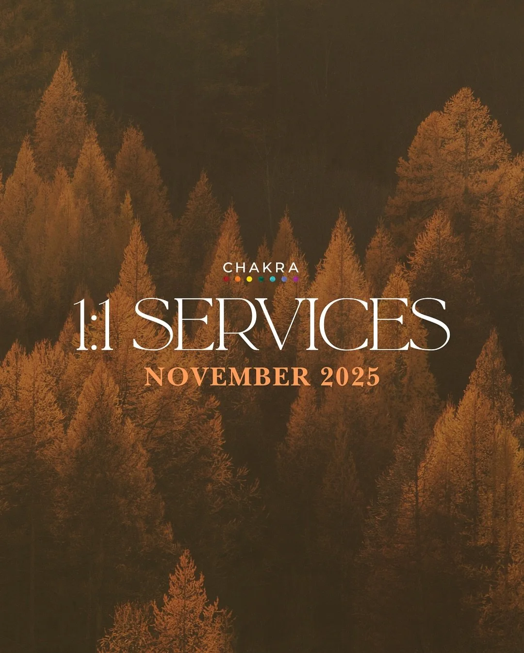 New month. New energy. New openings. ✨

Explore November 1:1 healing sessions and meet the practitioners holding space this season. 

Bookings now open.