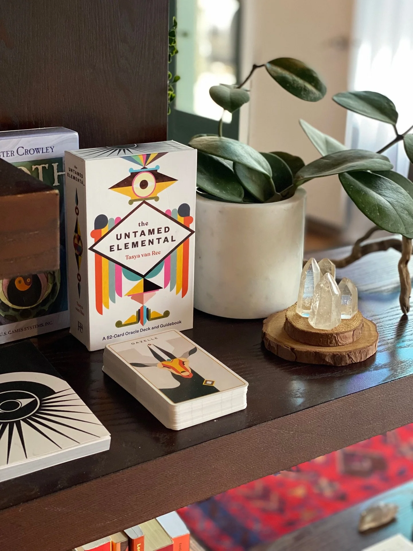 Mondays are for slow starts, long stretches and oracle pulls. Chin up Wellness Warriors, it&rsquo;s a holiday week and you&rsquo;ve got this. ✨