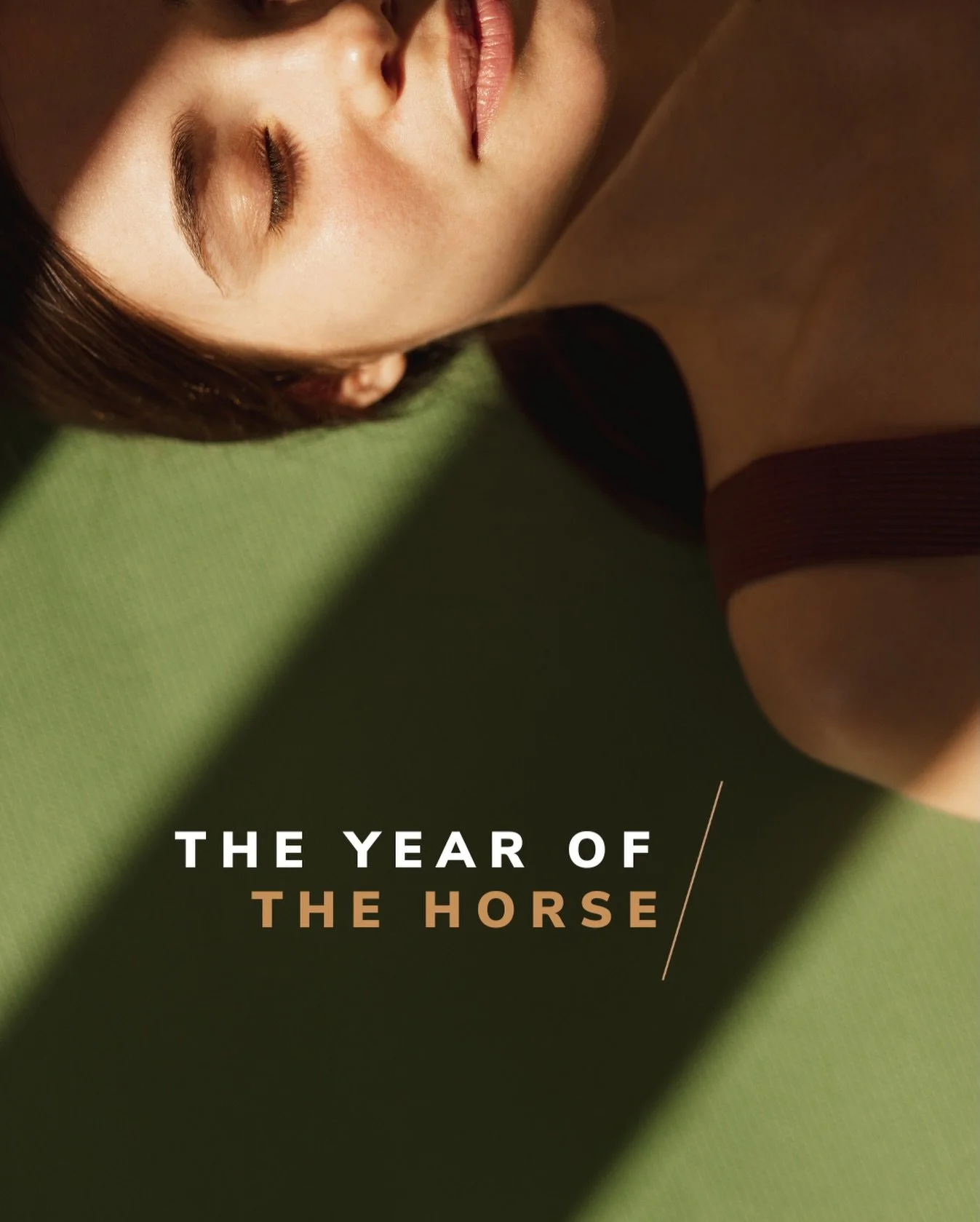 Shedding the year of the snake and welcoming the year of the horse. 🐍✨🐎 Giddy up Wellness Warriors, it&rsquo;s going to be a wonderful ride.