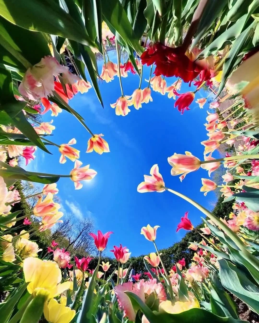 &ldquo;I firmly believe nature brings solace in all troubles.&rdquo; ~ Anne Frank

Chakra was born from this very truth, that in moments of stress, uncertainty, or imbalance, nature calls us back to ourselves. It reminds us to slow down, to breathe d