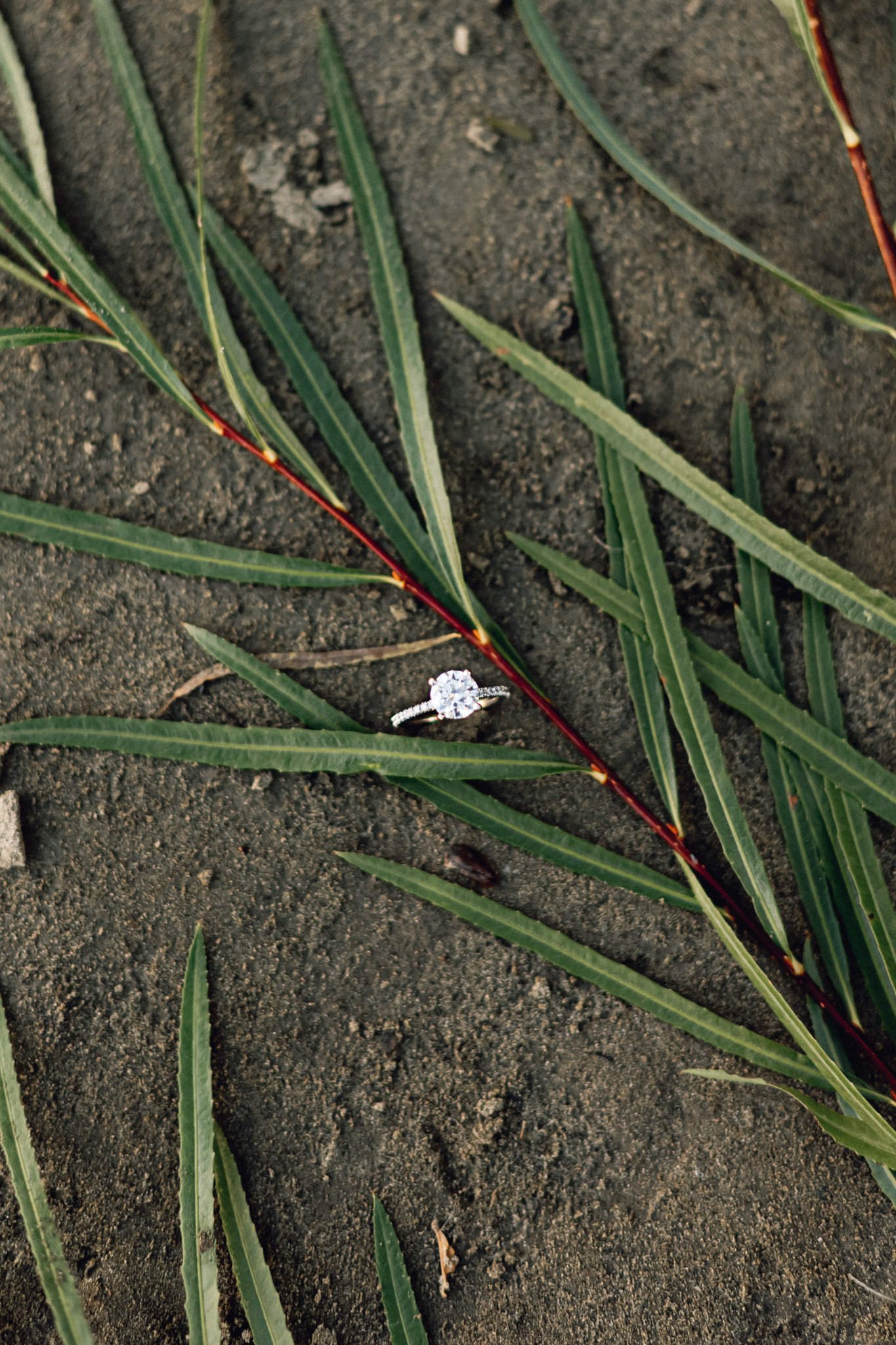 walterdale-bridge-engagement-edmonton-joanna-jason-0009.jpg