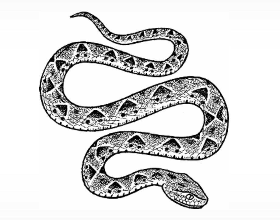 Monkey Gods, Snakes, Clairvoyants and Cowgirl KGB agents