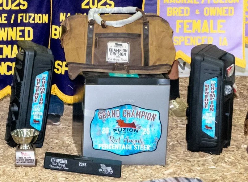 Division Sponsorship