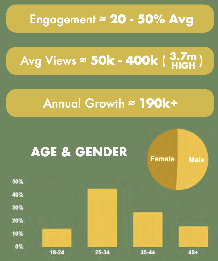 Digital infographic showing social media metrics such as engagement rate, average views, and annual growth, with data on age and gender distribution, including a pie chart indicating gender split.
