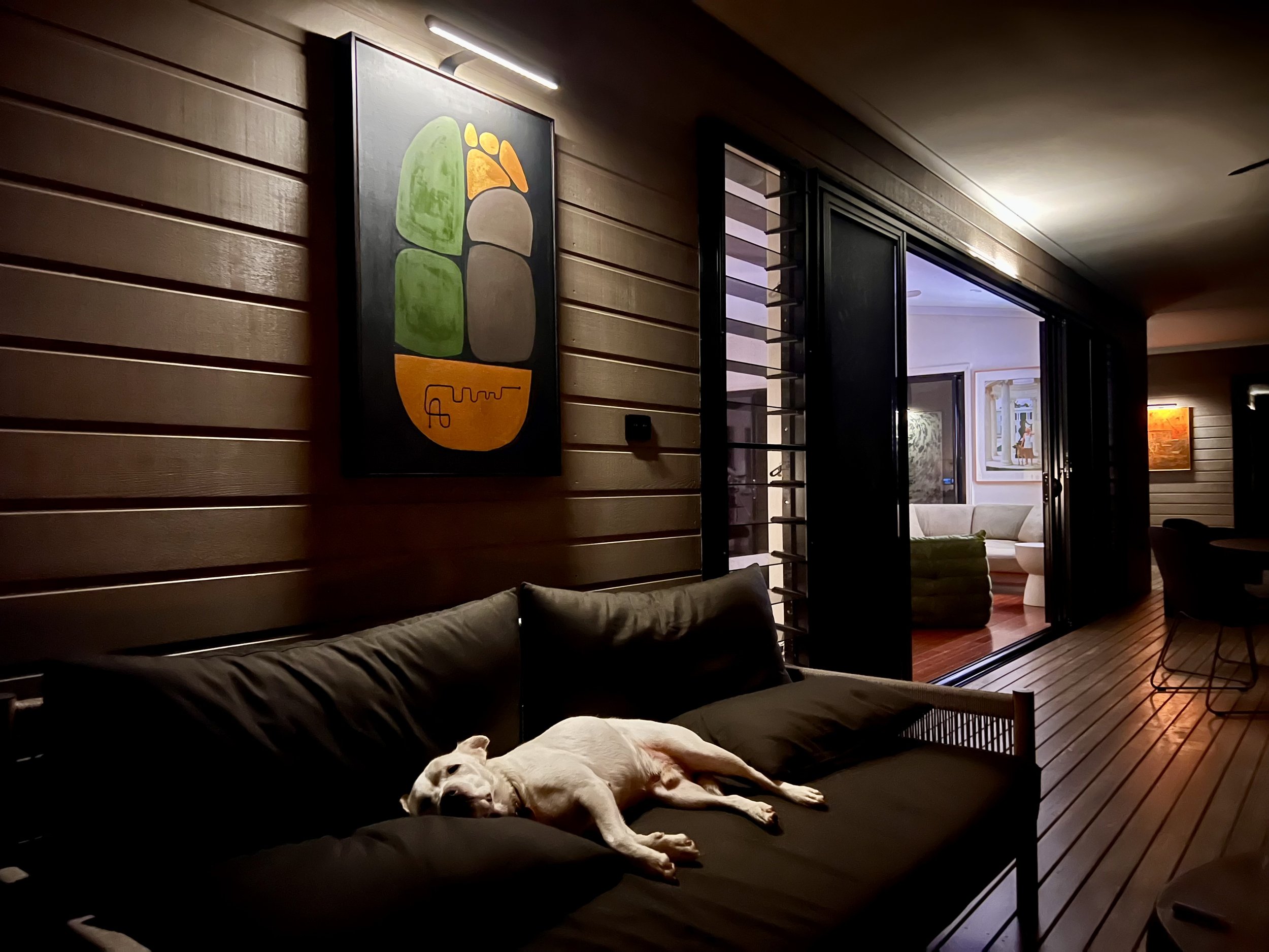 Dog on sofa.jpeg