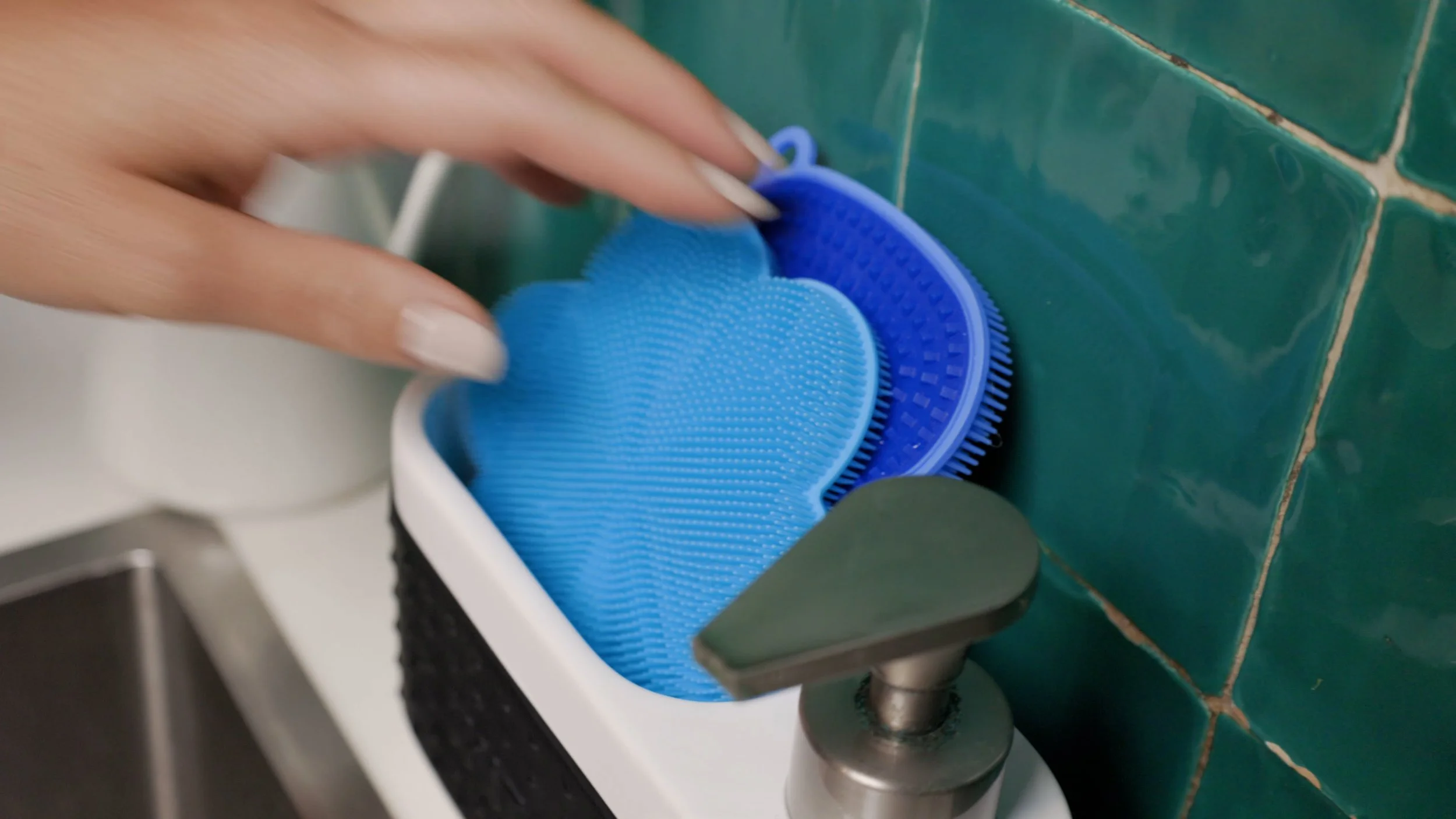 2 cut Scrubby and Swisch 4k.mp4.00_01_01_16.Still001.jpg