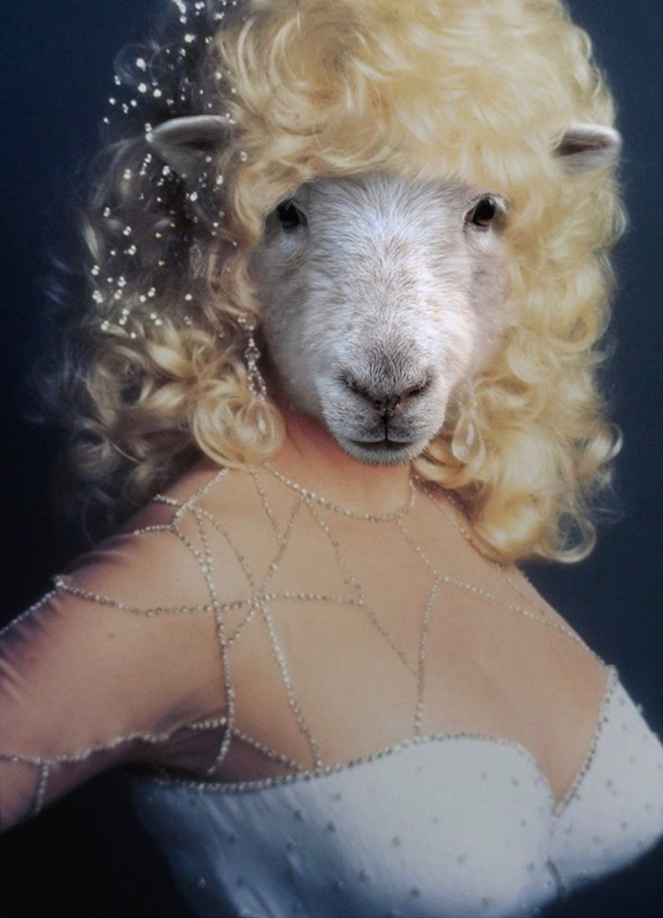 Dolly Parton (dad's muse) but sheepified
