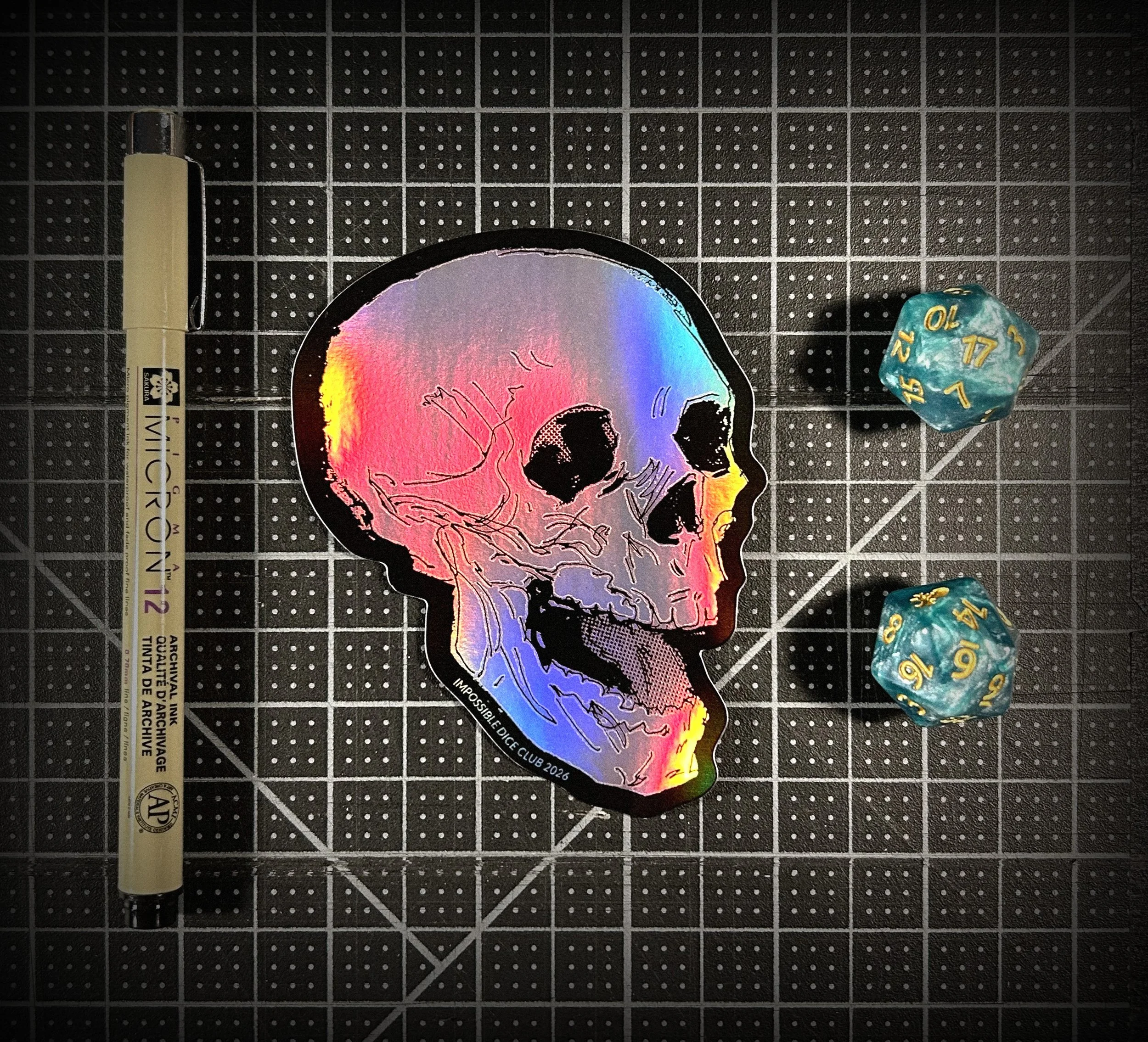 skull to scale.jpg