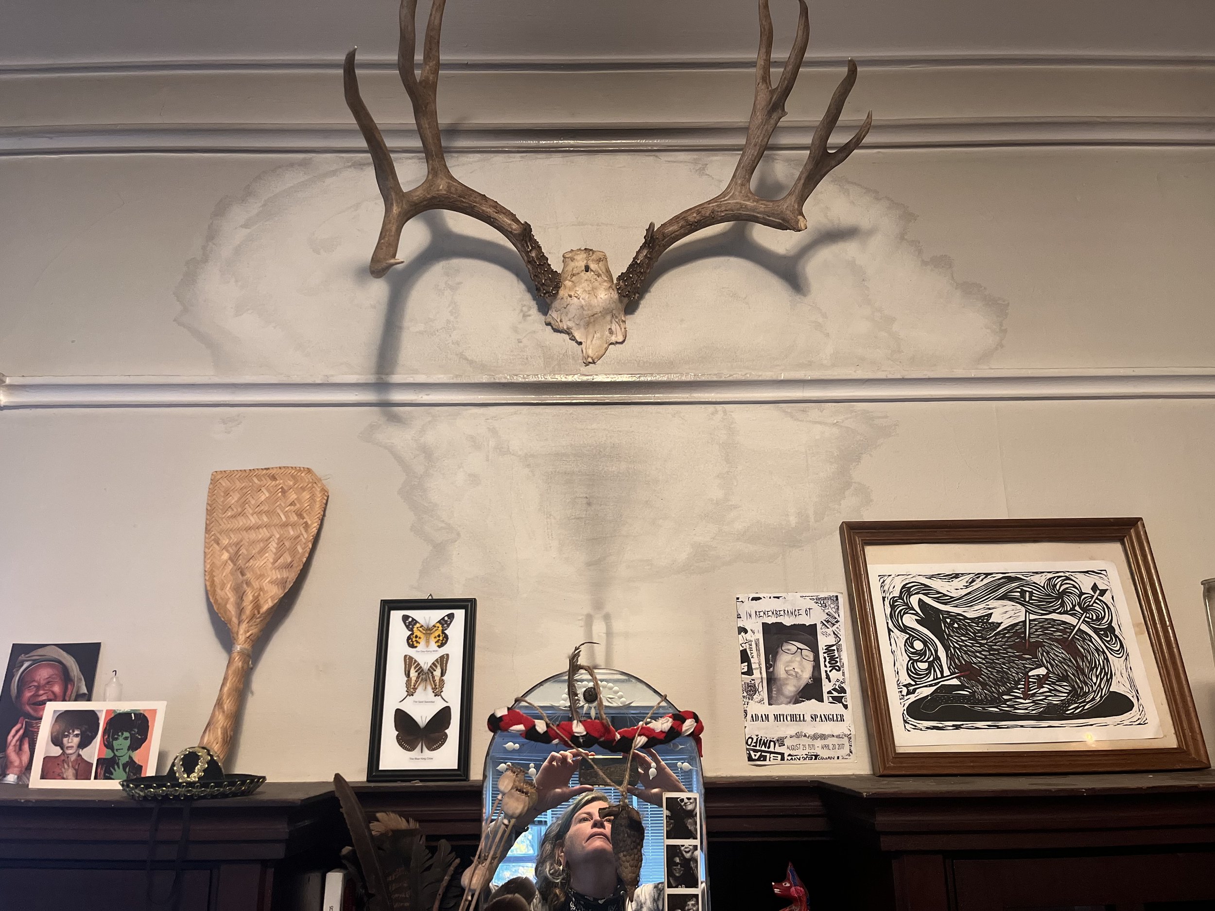 antlers.jpg