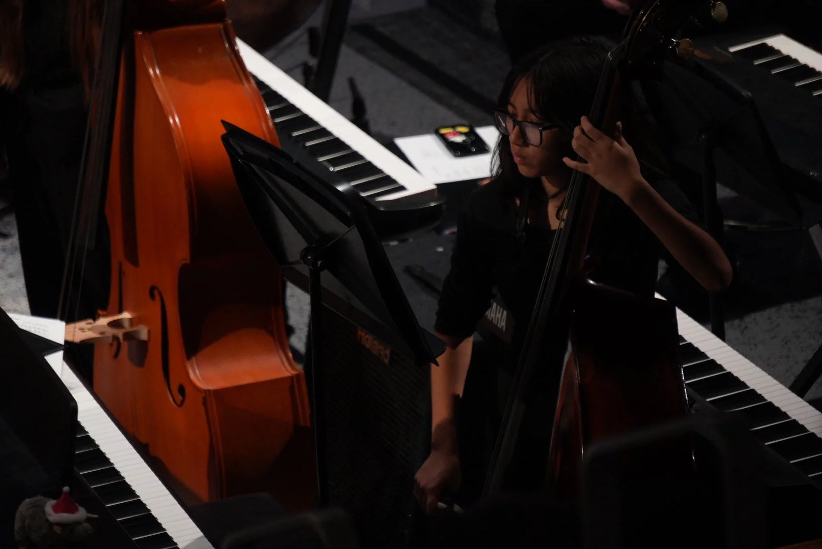 UDHS-WINTER-CONCERT-12-10-2570.JPG