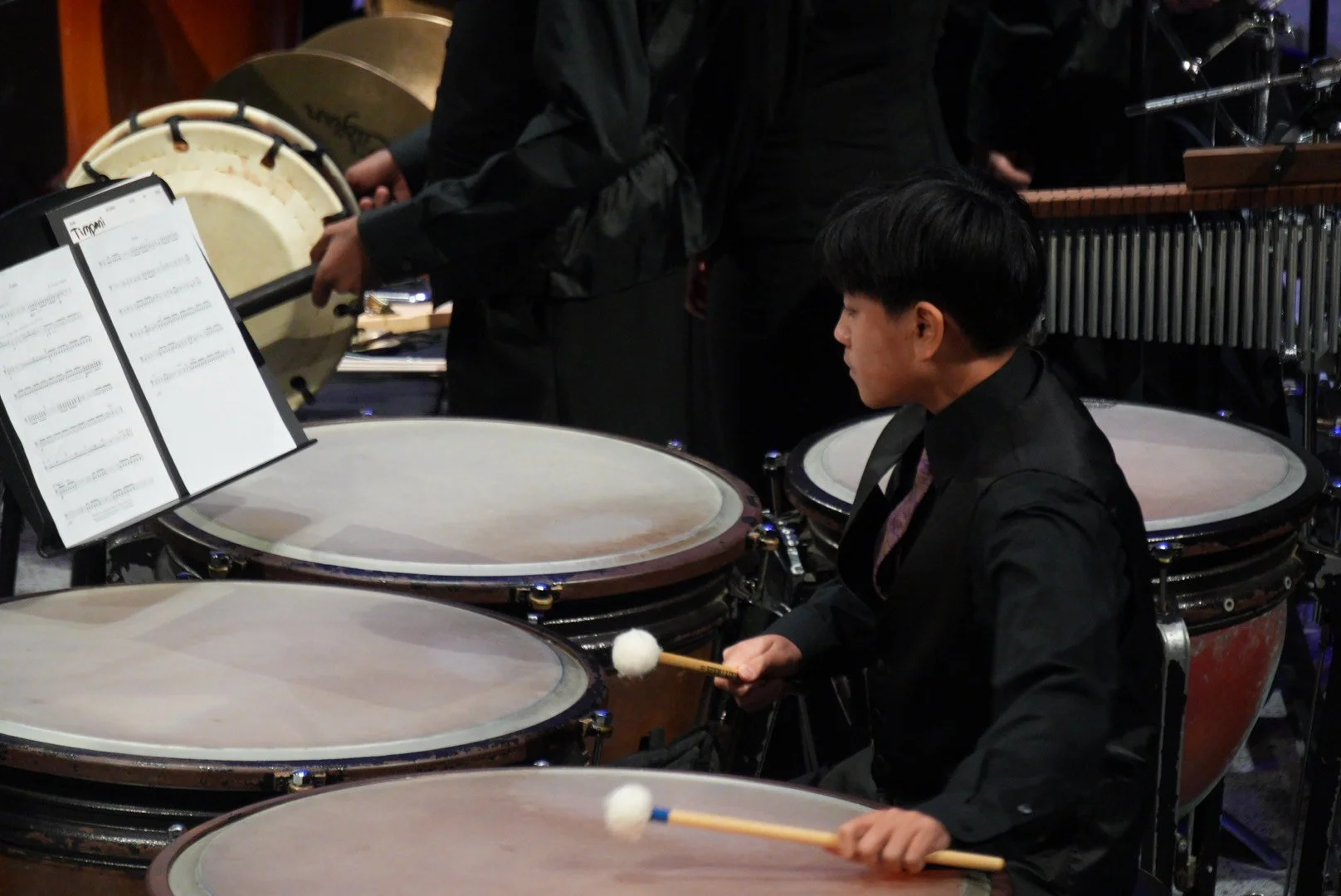 UDHS-WINTER-CONCERT-12-10-2513.JPG