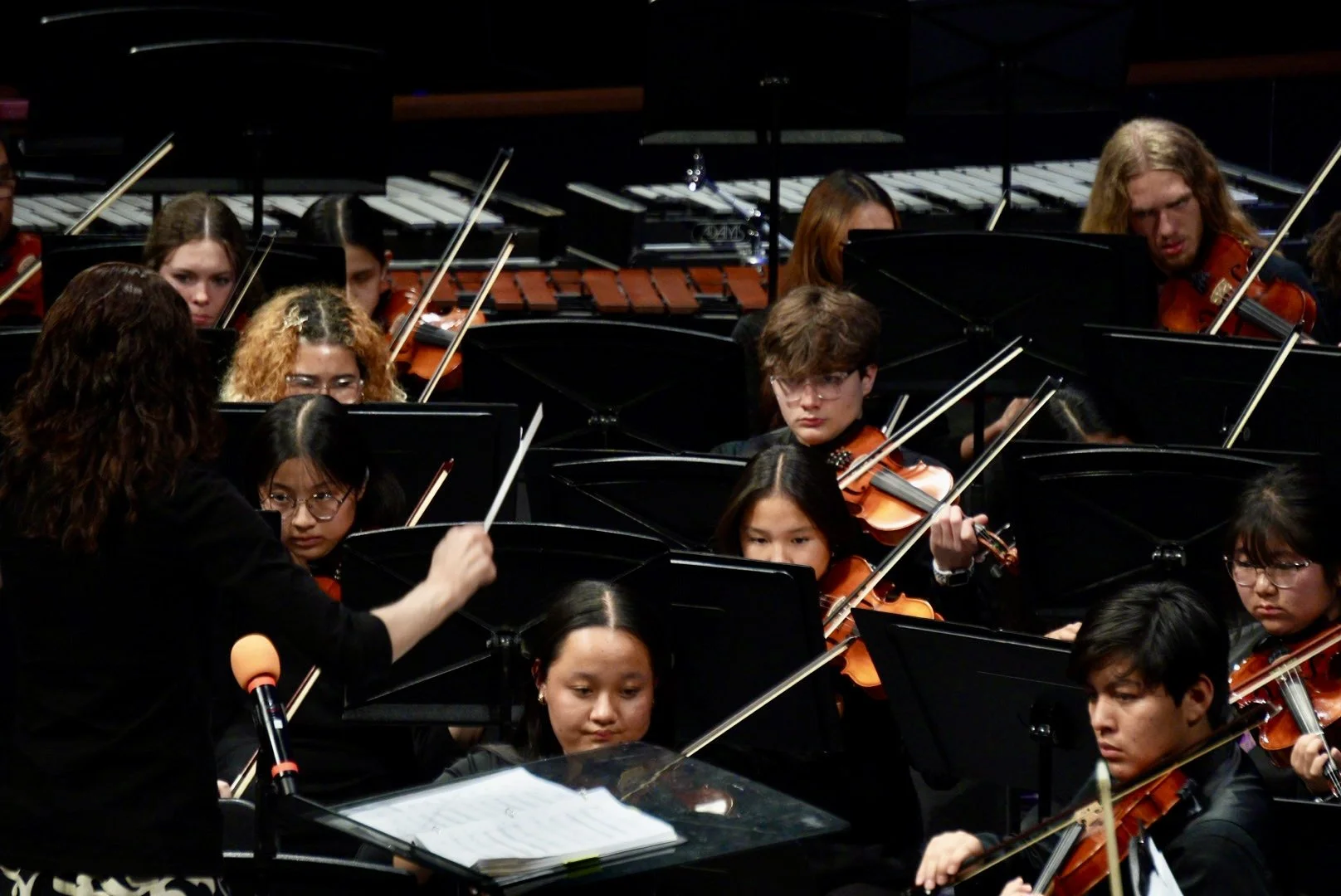 UDHS-WINTER-CONCERT-12-10-2546.JPG