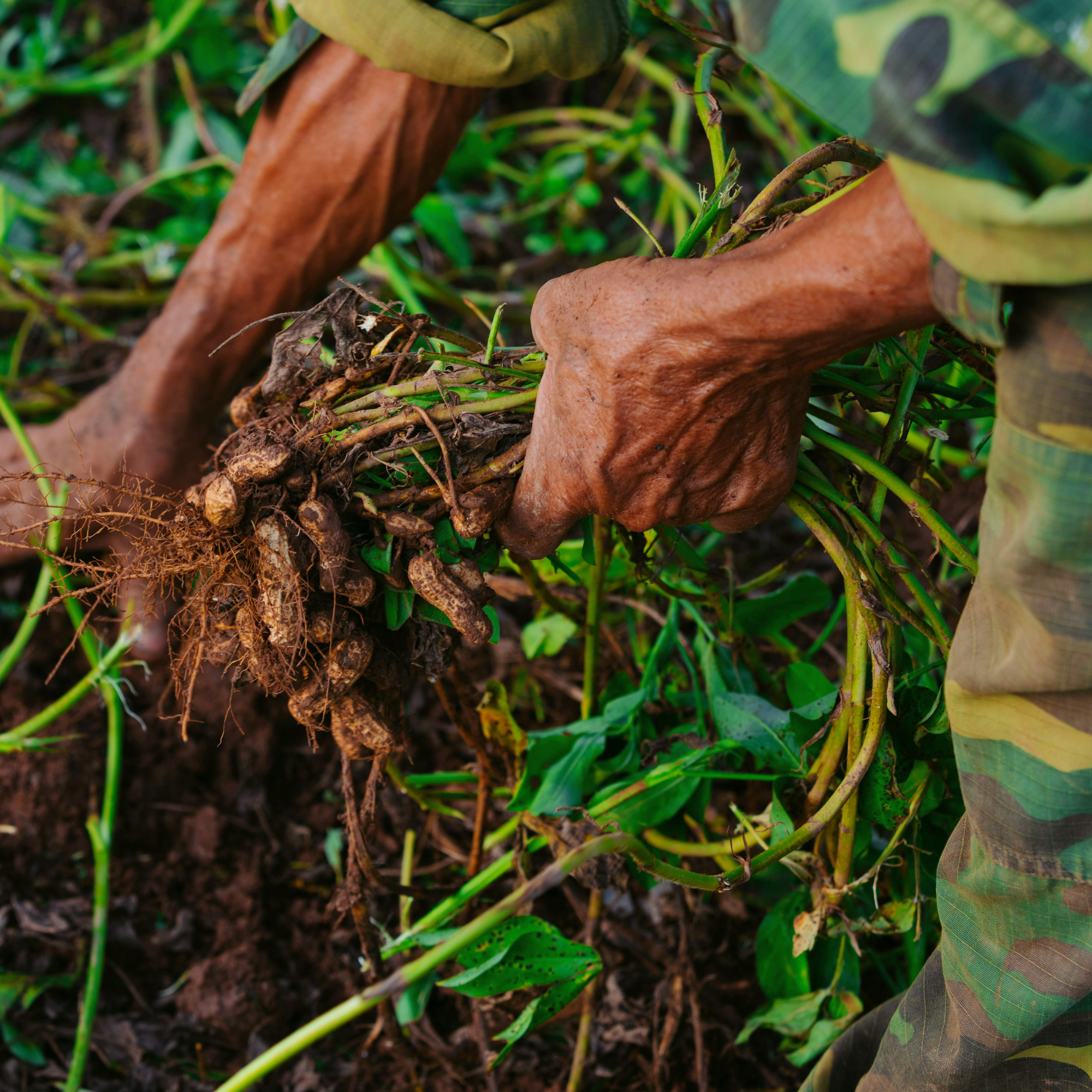 RootWorker