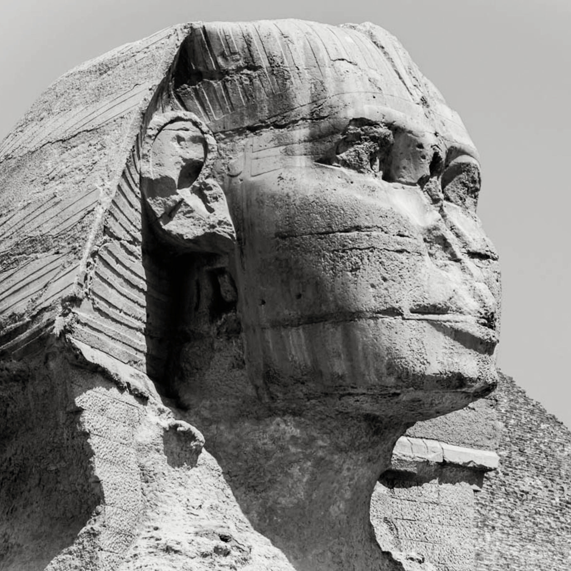 NeferTiTi