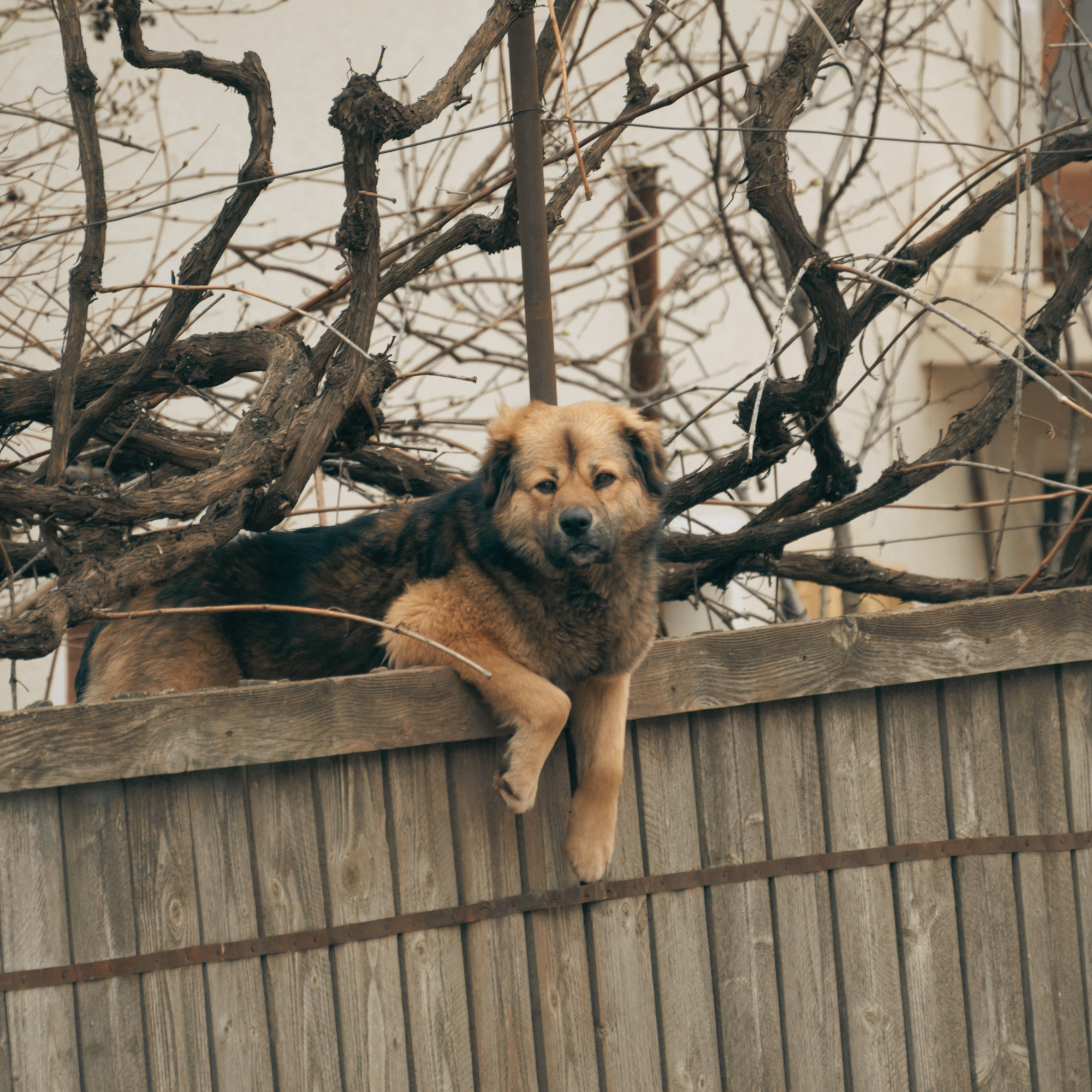 WatcHer